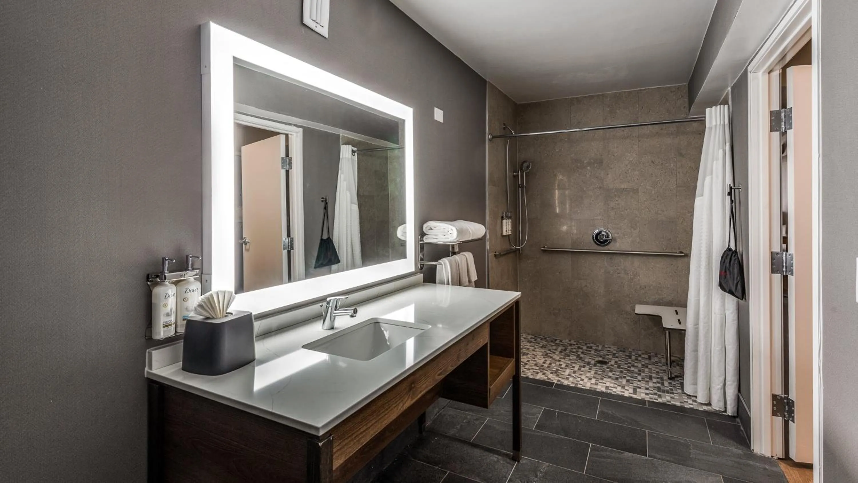 Bathroom in Holiday Inn Dallas Market Ctr Love Field by IHG