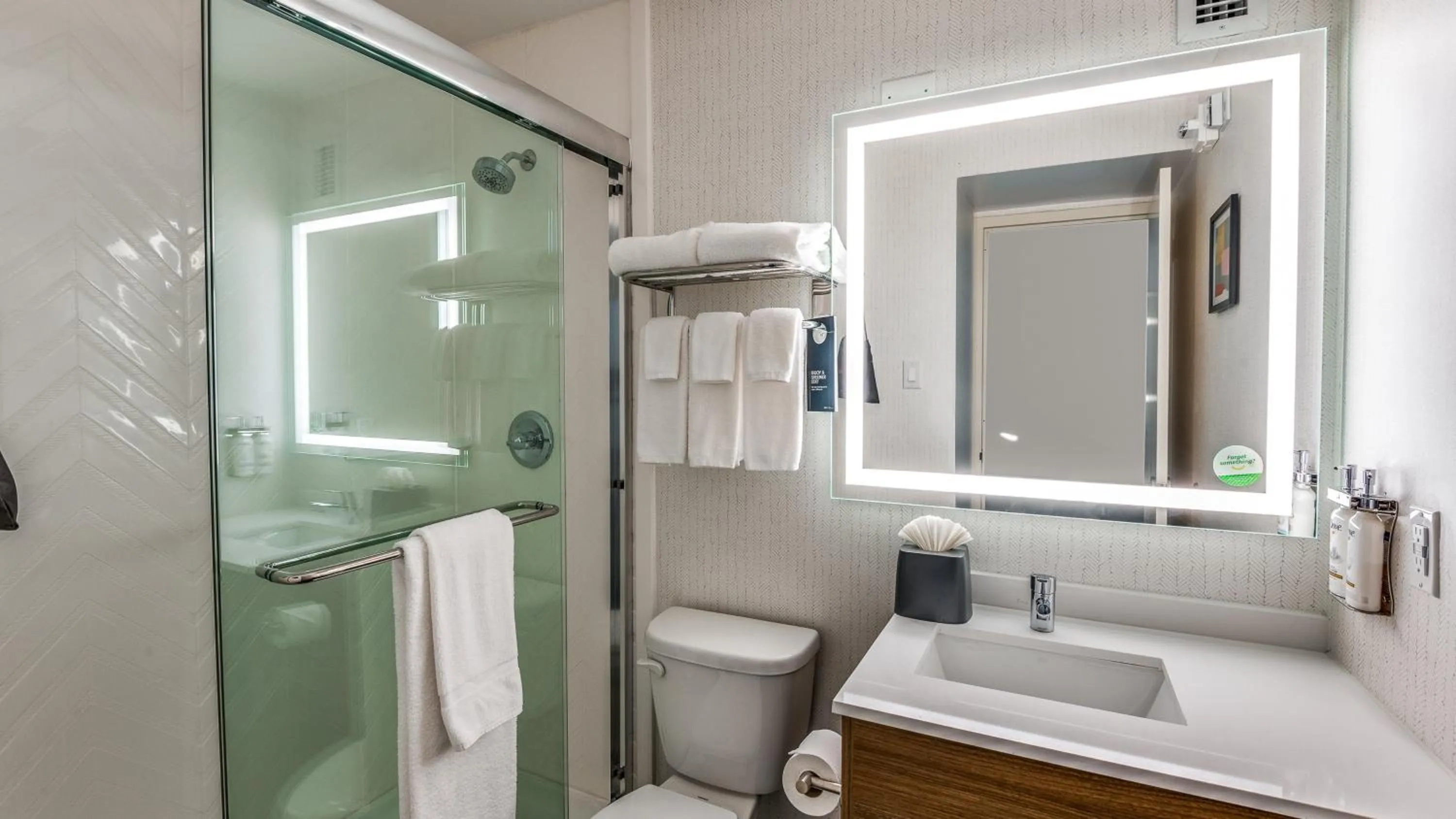 Bathroom in Holiday Inn Dallas Market Ctr Love Field by IHG