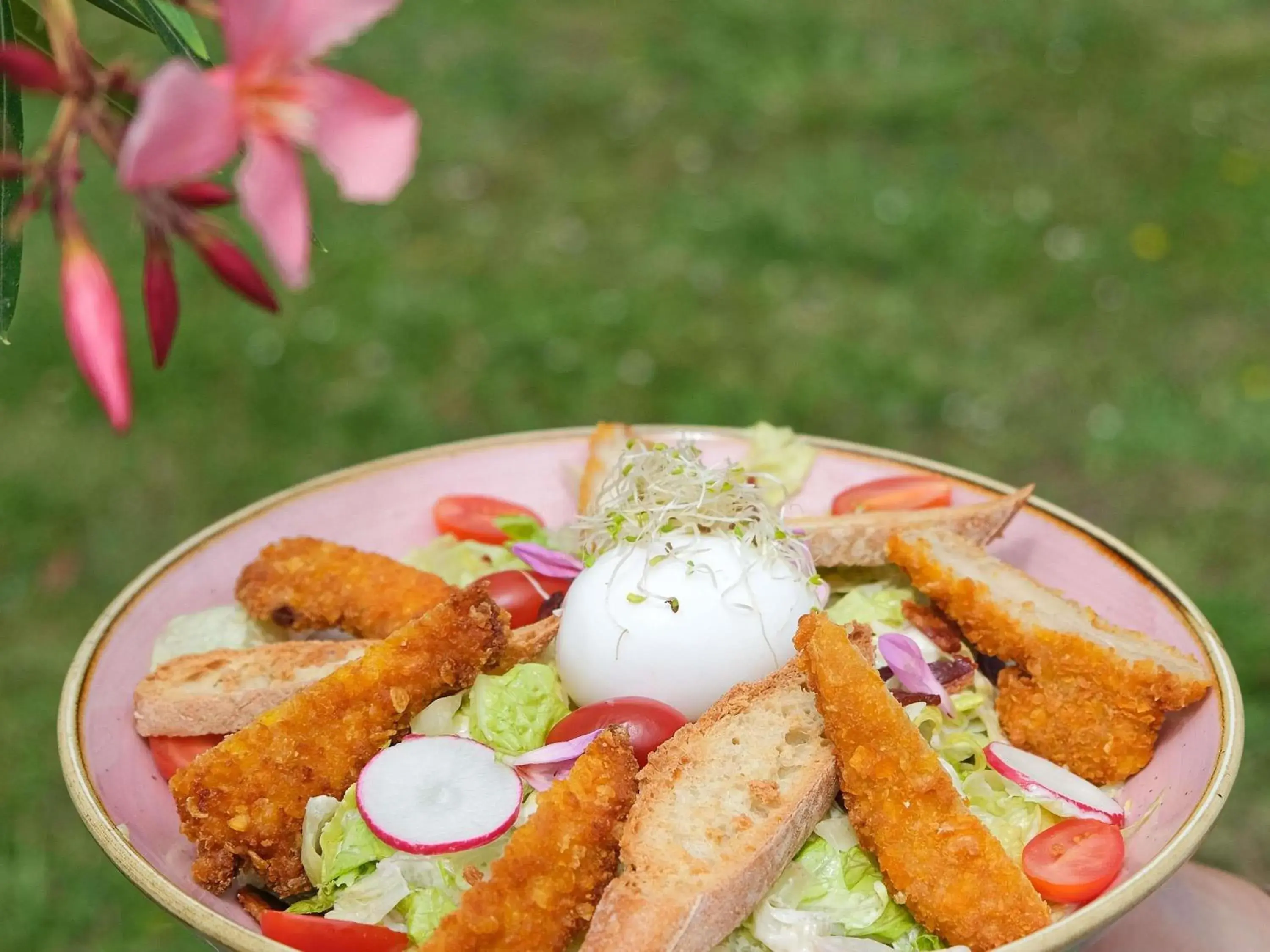 Restaurant/places to eat in ibis budget Toulouse Labège Restaurant/places to eat in ibis budget Toulouse Labège