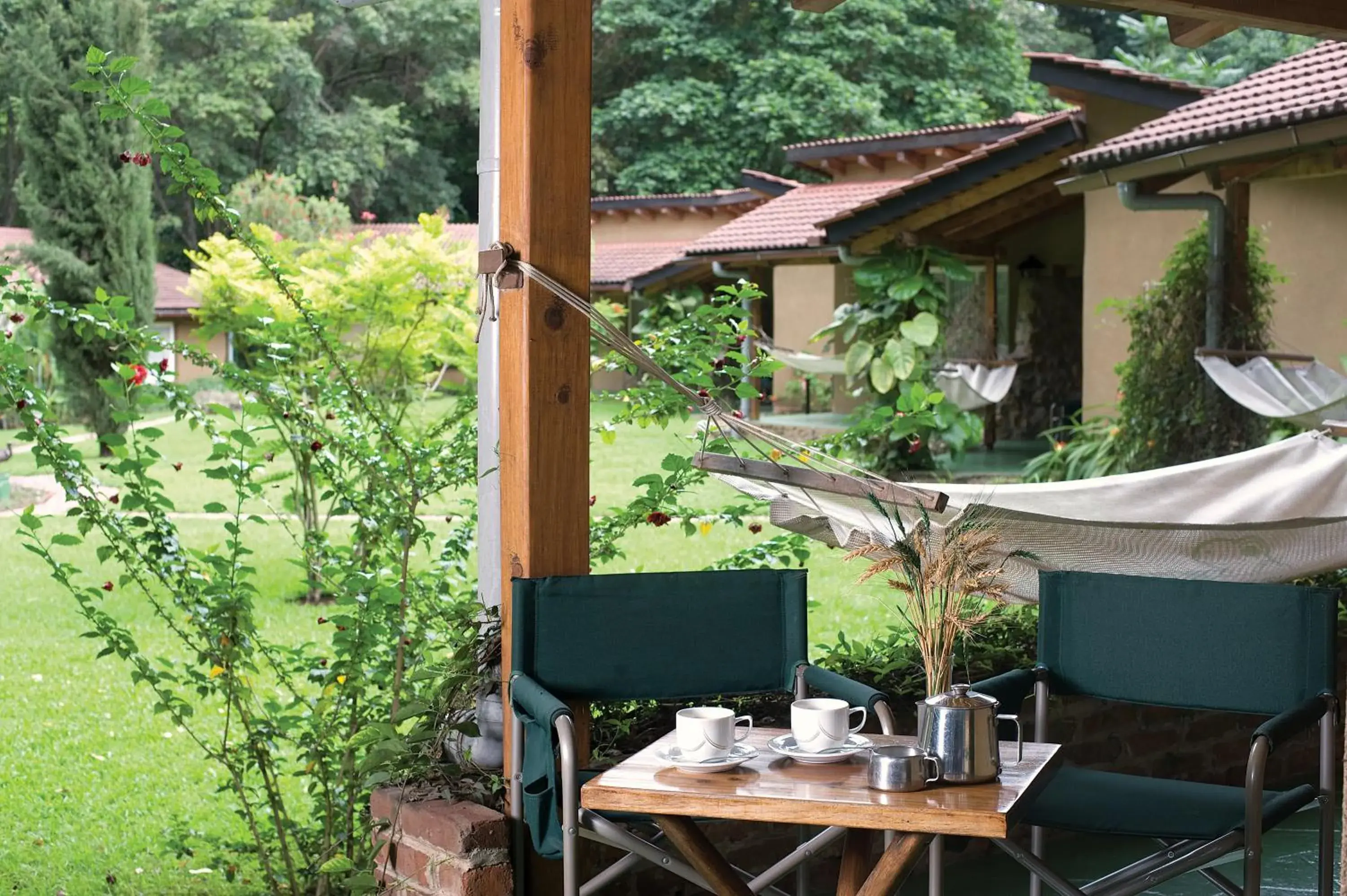 Garden view in Dik Dik Hotel Garden view in Dik Dik Hotel