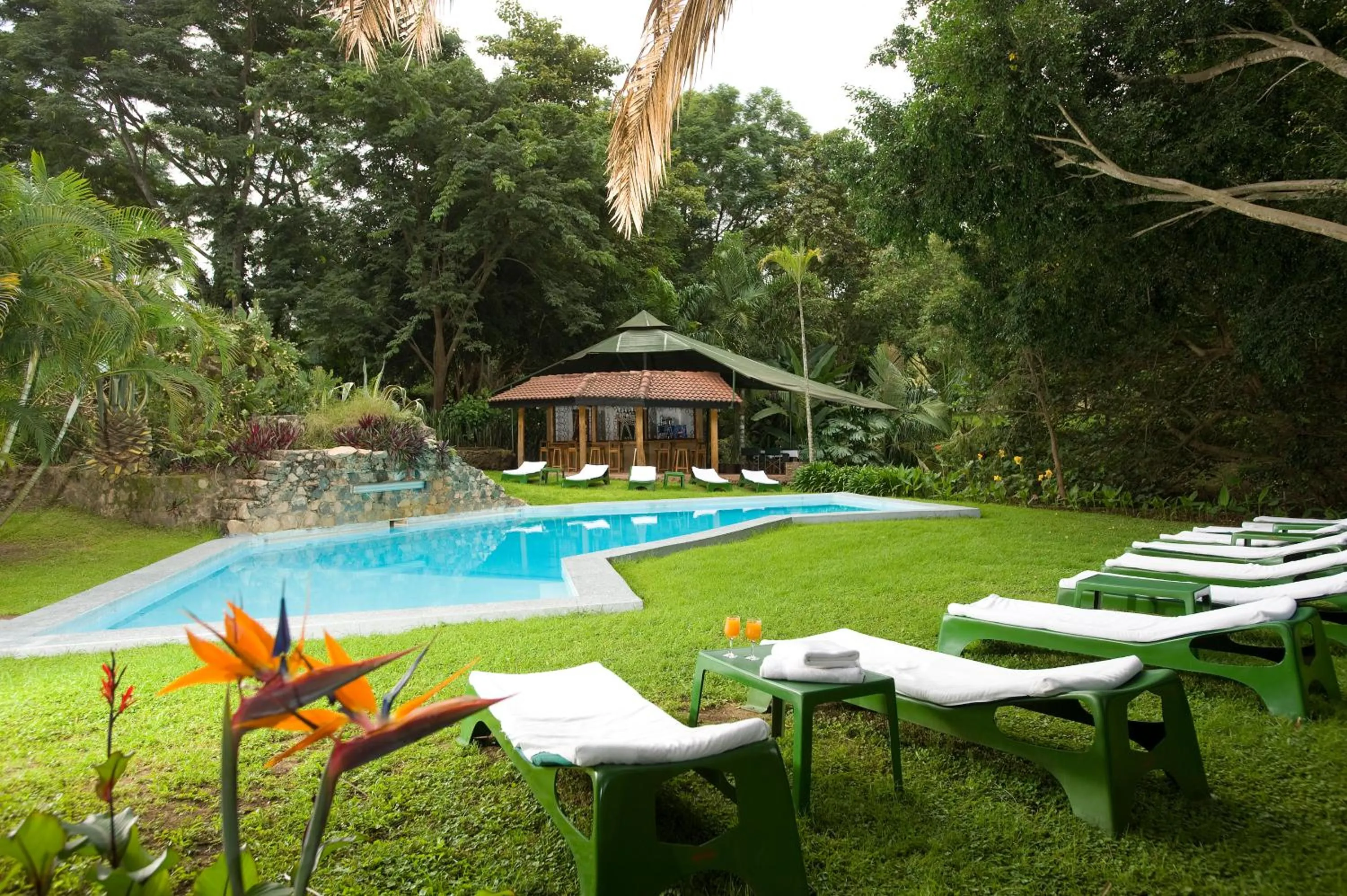 Swimming pool in Dik Dik Hotel