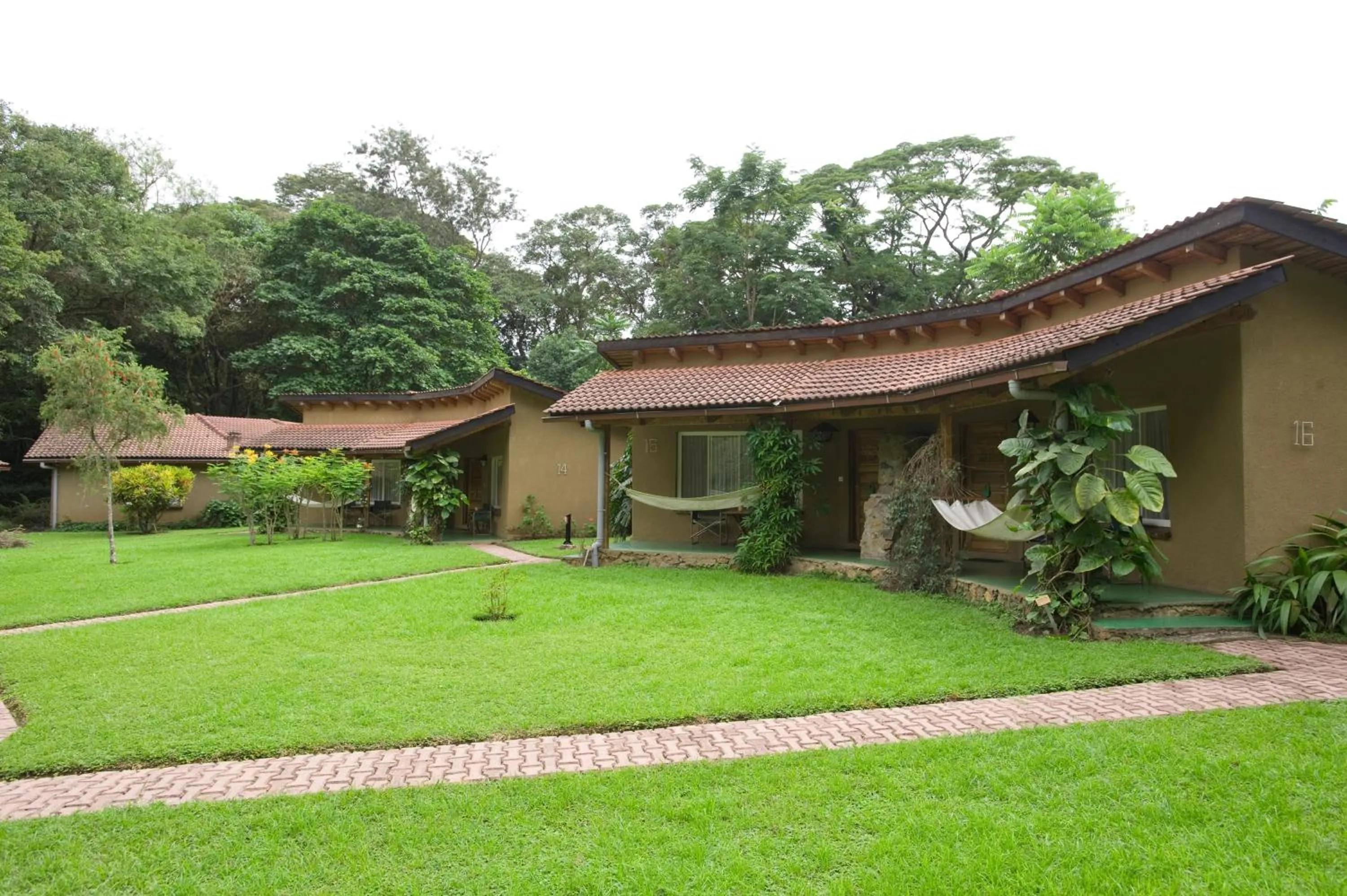 View (from property/room) in Dik Dik Hotel