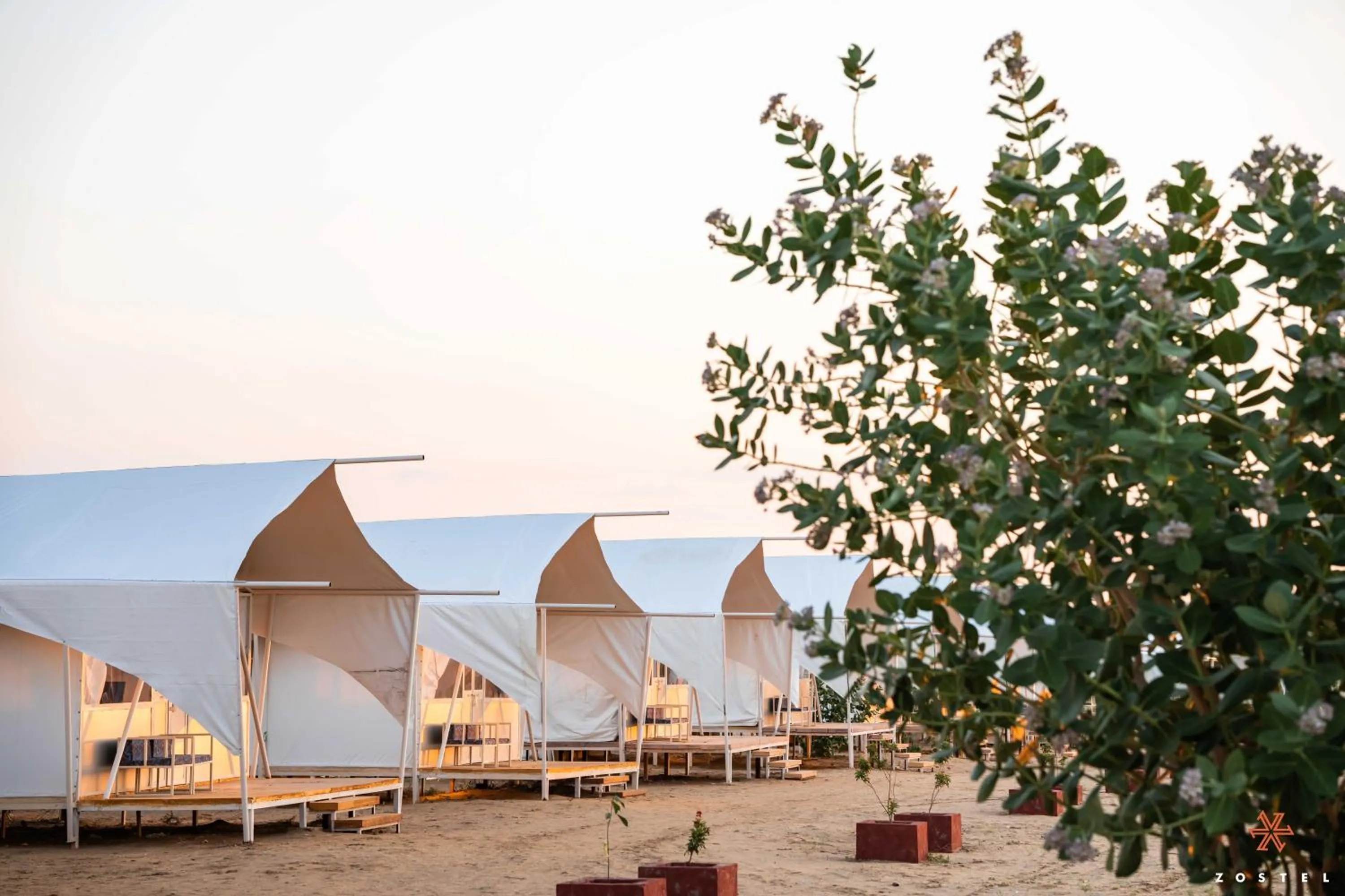 Property building in Zostel Sam Desert (Jaisalmer)