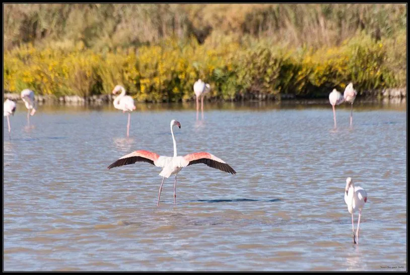 Nearby landmark in Le Mazet De Jean