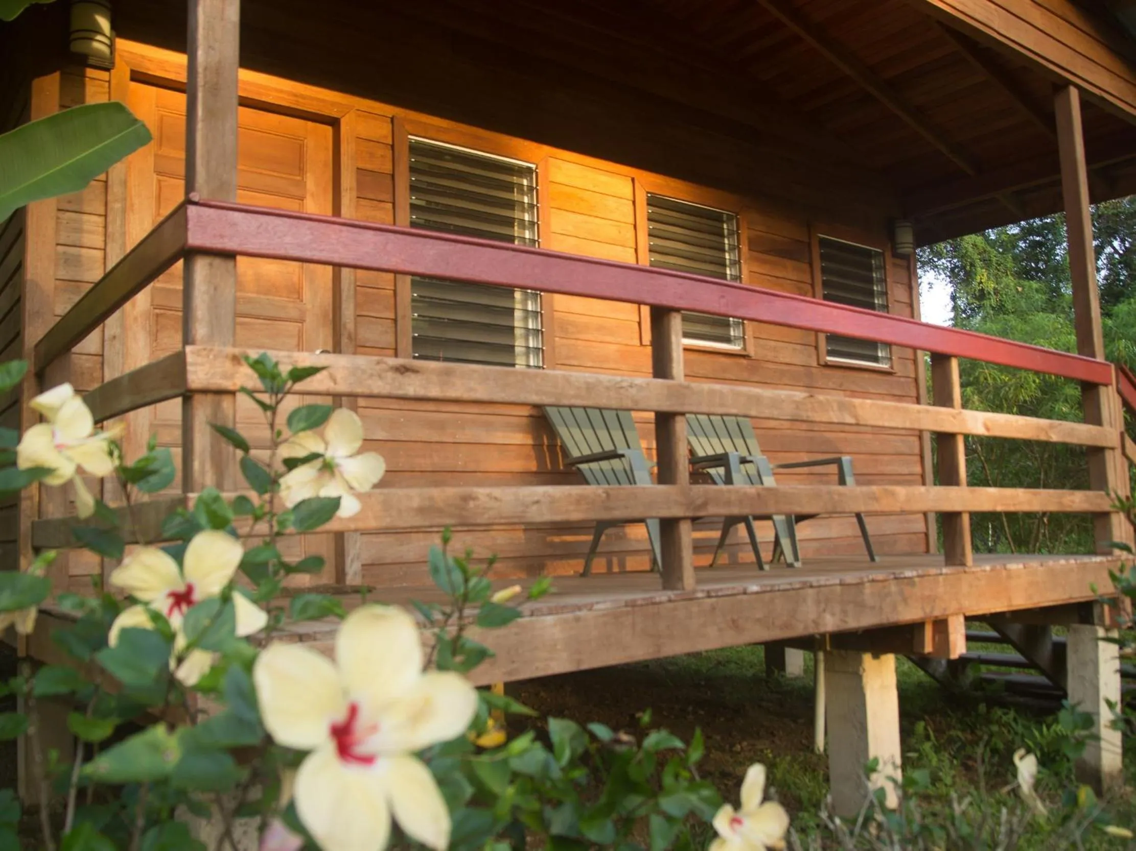 Property building in Tanager RainForest Lodge
