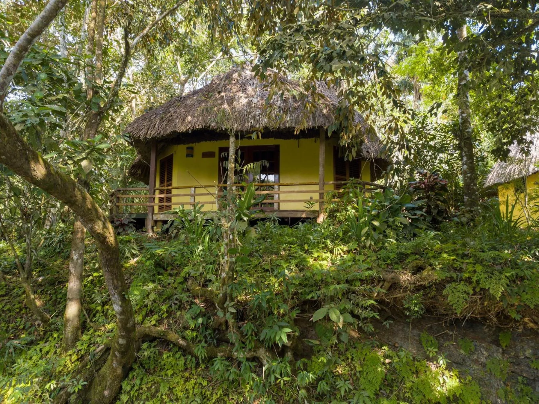 Property building in Tanager RainForest Lodge