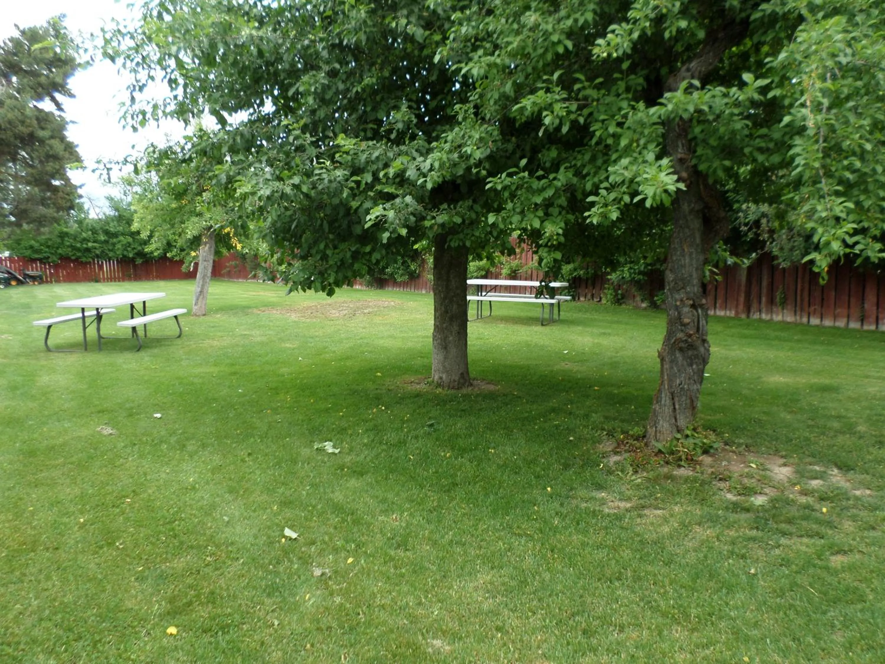 BBQ facilities in Sandman Motel