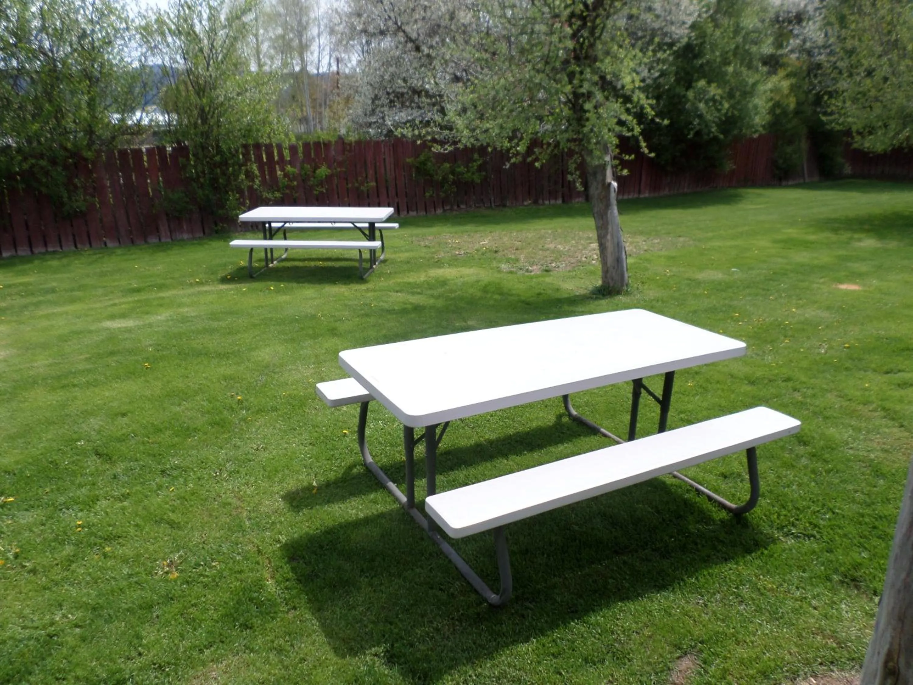 Spring in Sandman Motel