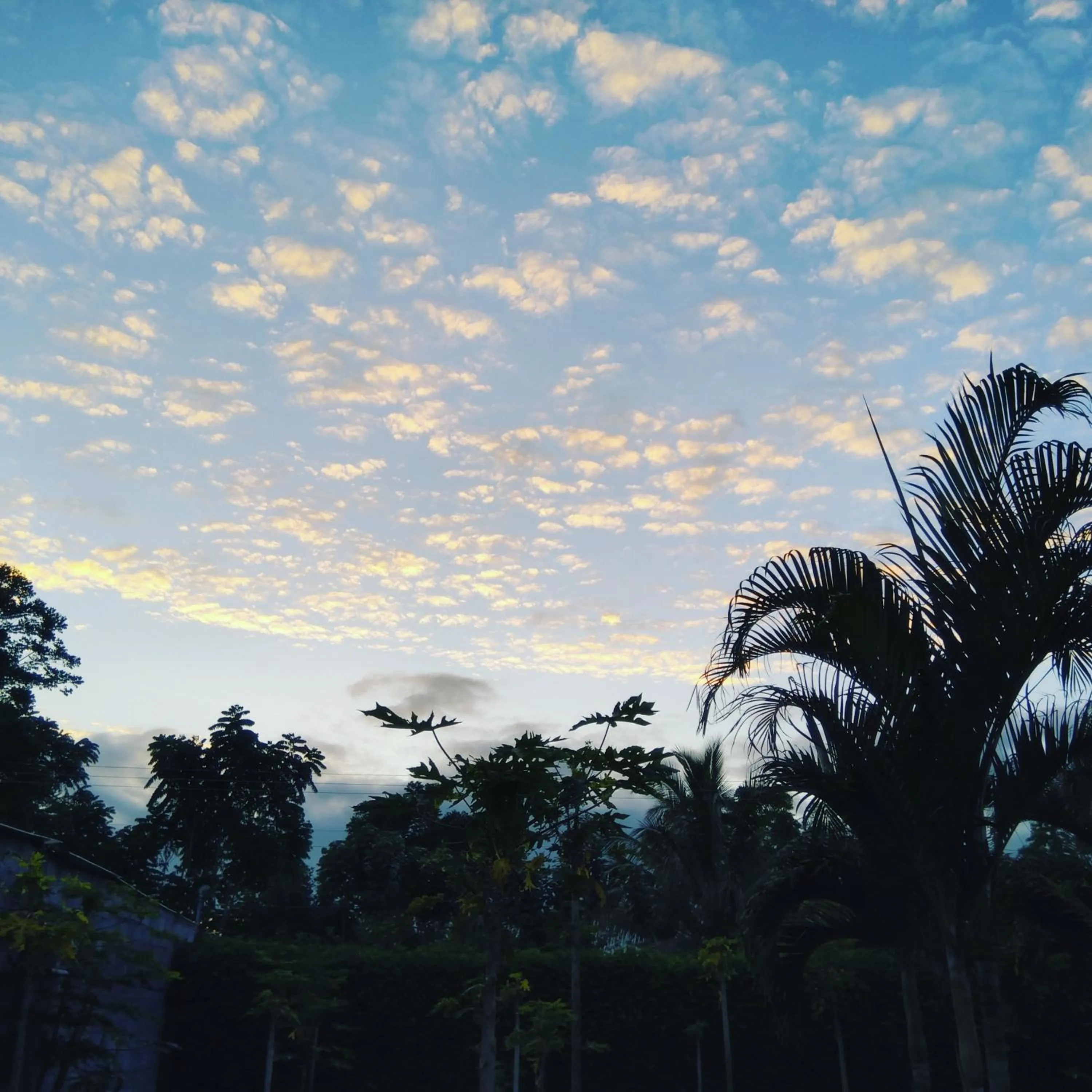 Natural landscape in Suymar Ecolodge Galapagos