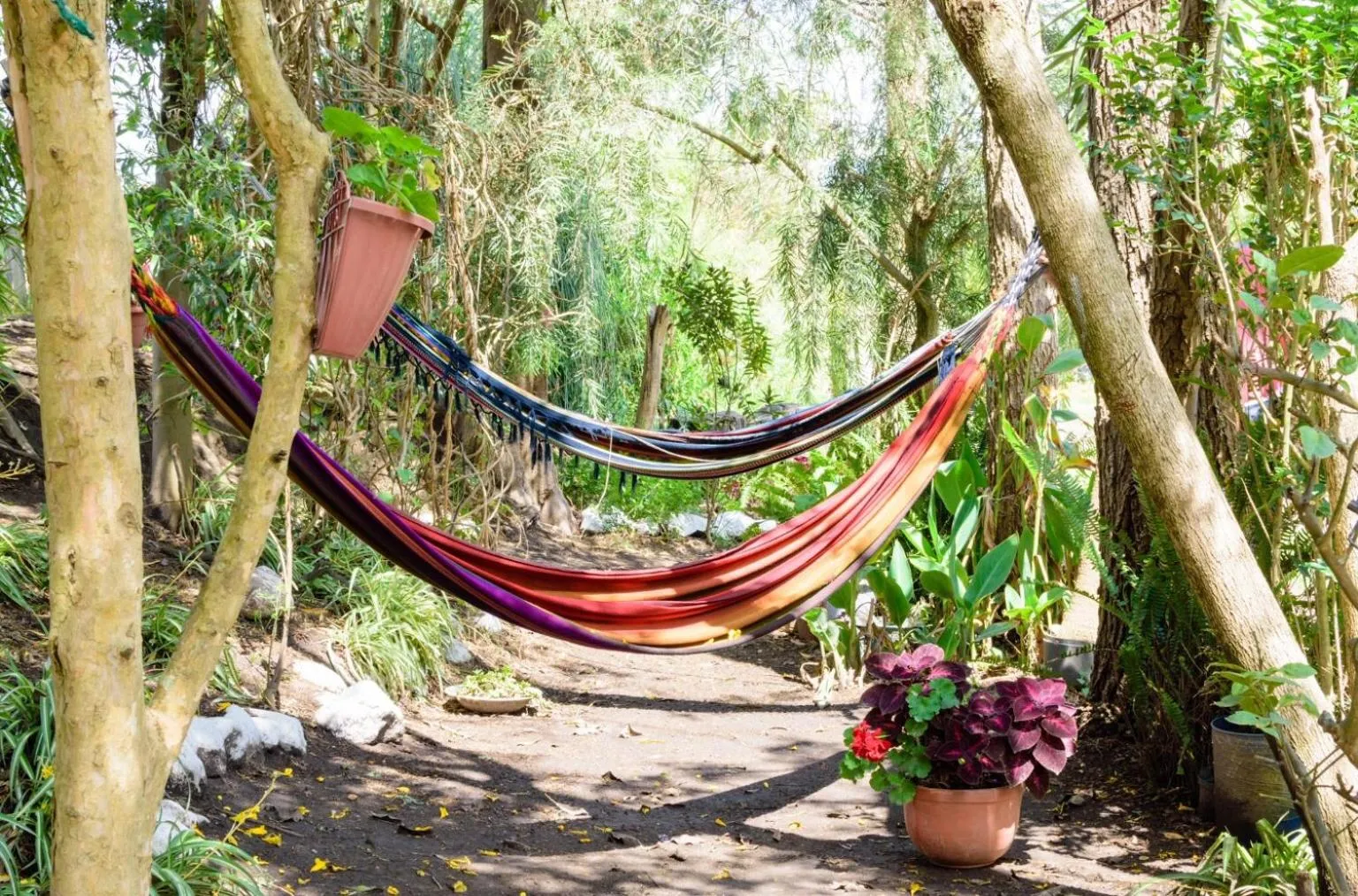 Patio in Hostería Colibri Aeropuerto