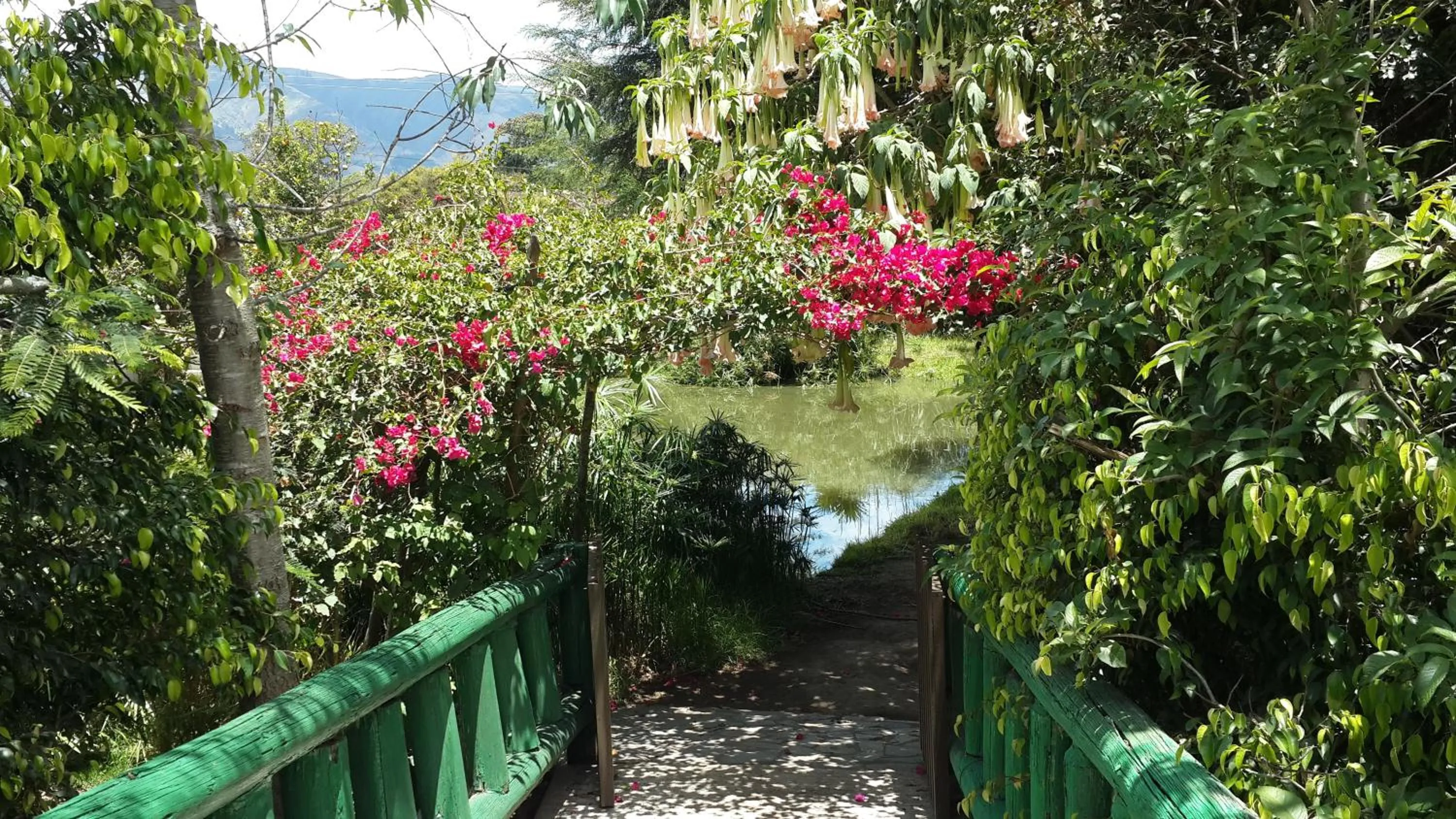 Facade/entrance in Hostería Colibri Aeropuerto