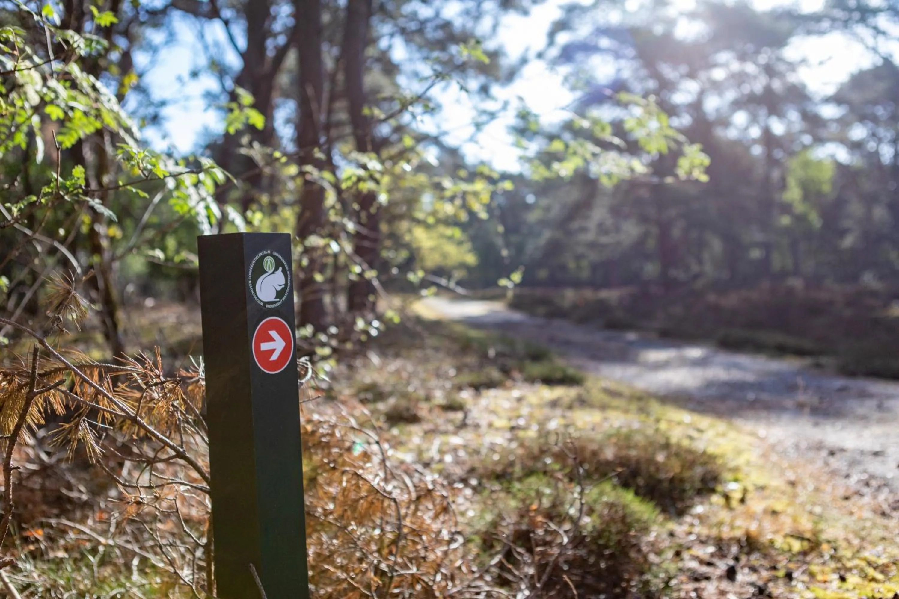 Hiking in Hotel Woudschoten