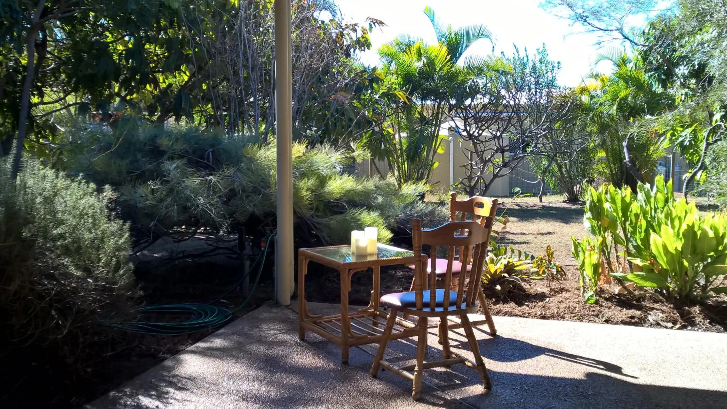 Garden in Magnetic Island Bed and Breakfast