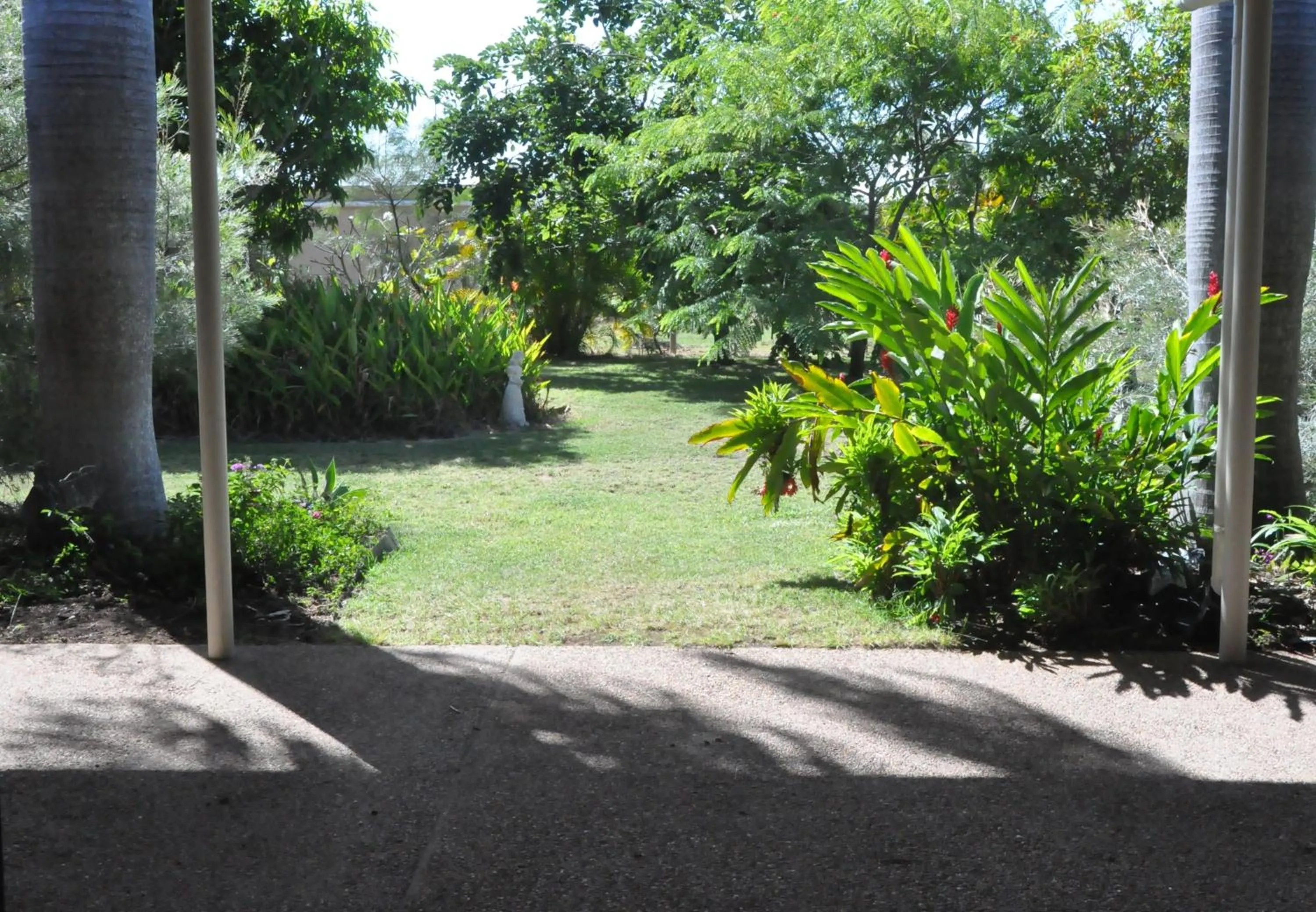 Garden in Magnetic Island Bed and Breakfast