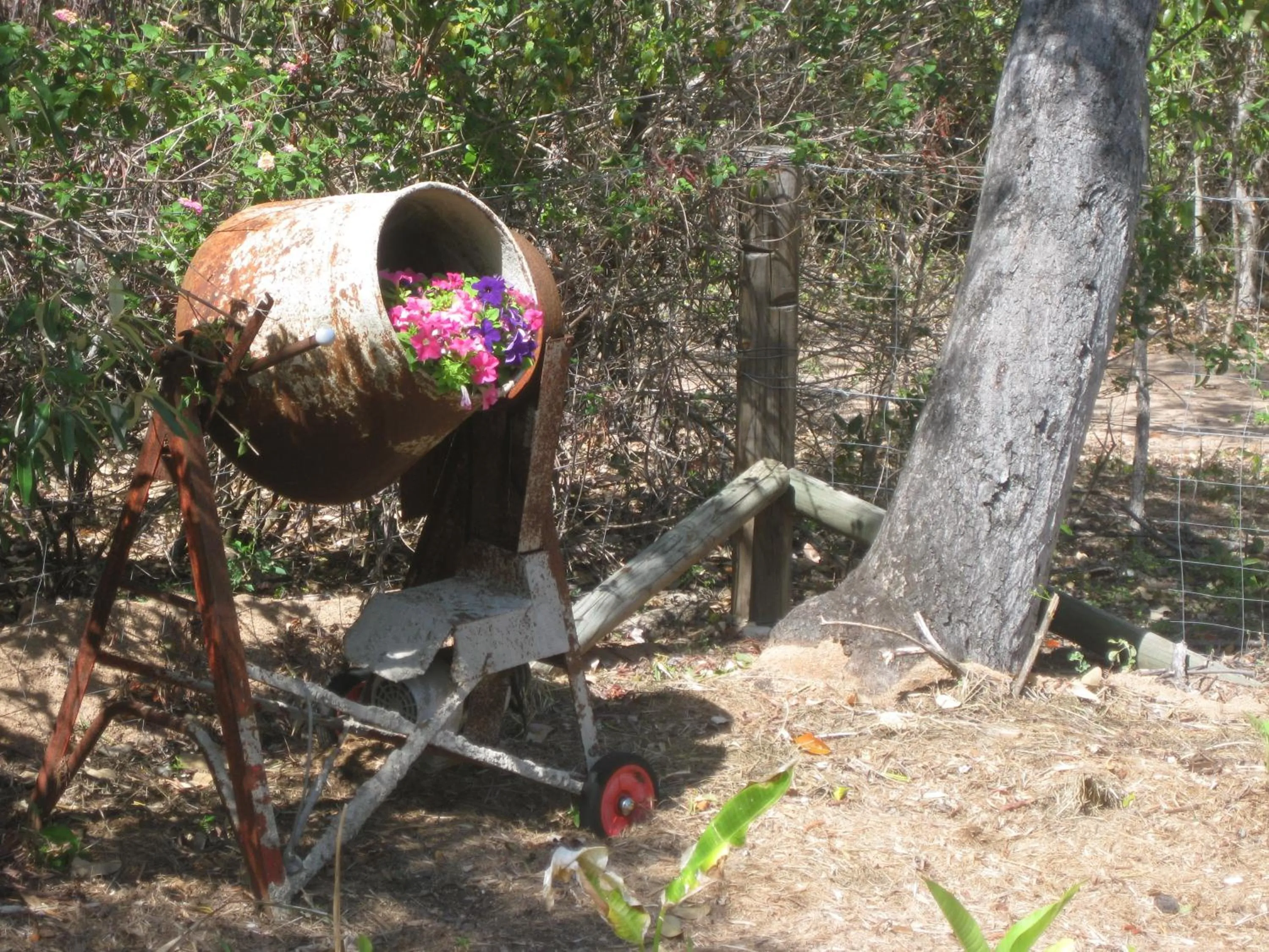 Garden in Magnetic Island Bed and Breakfast