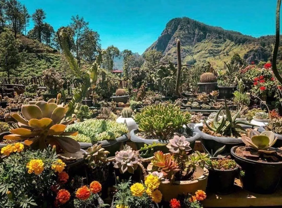 Ella Flower Garden Resort