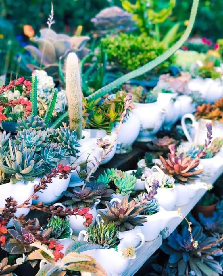 Ella Flower Garden Resort