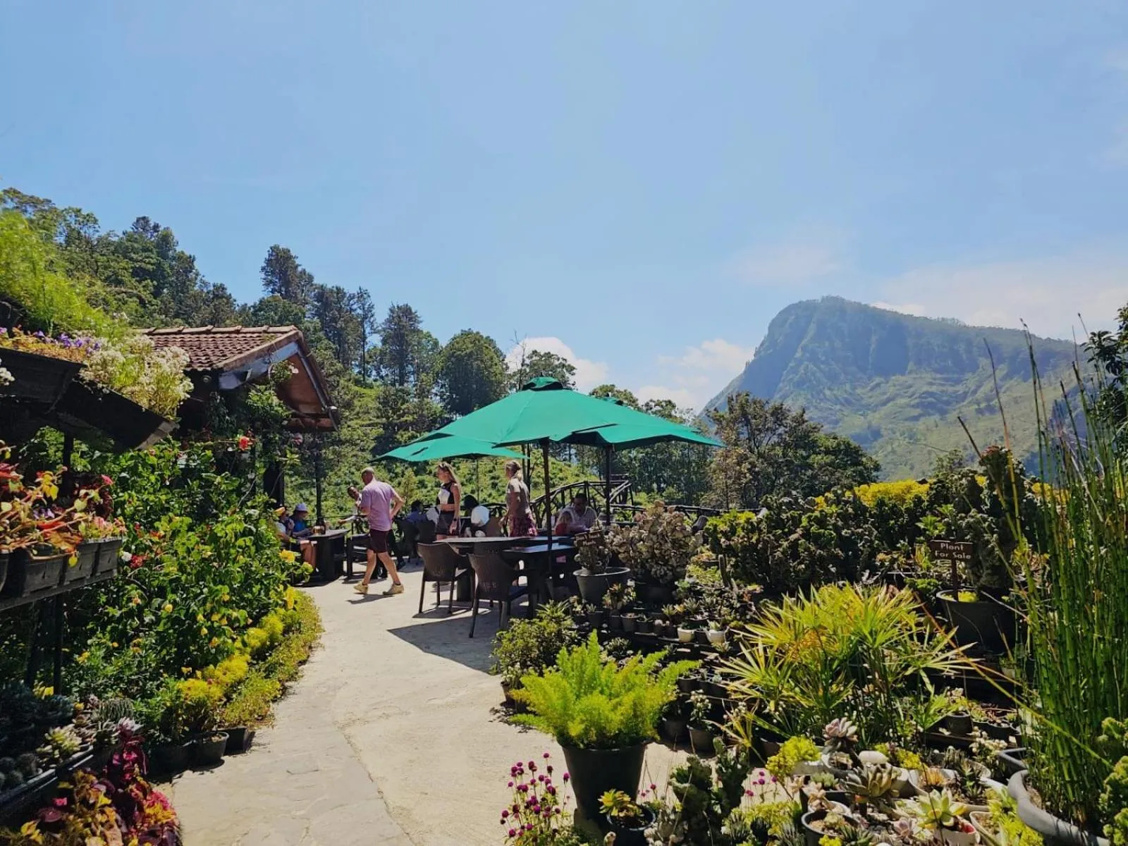 Garden view in Ella Flower Garden Resort
