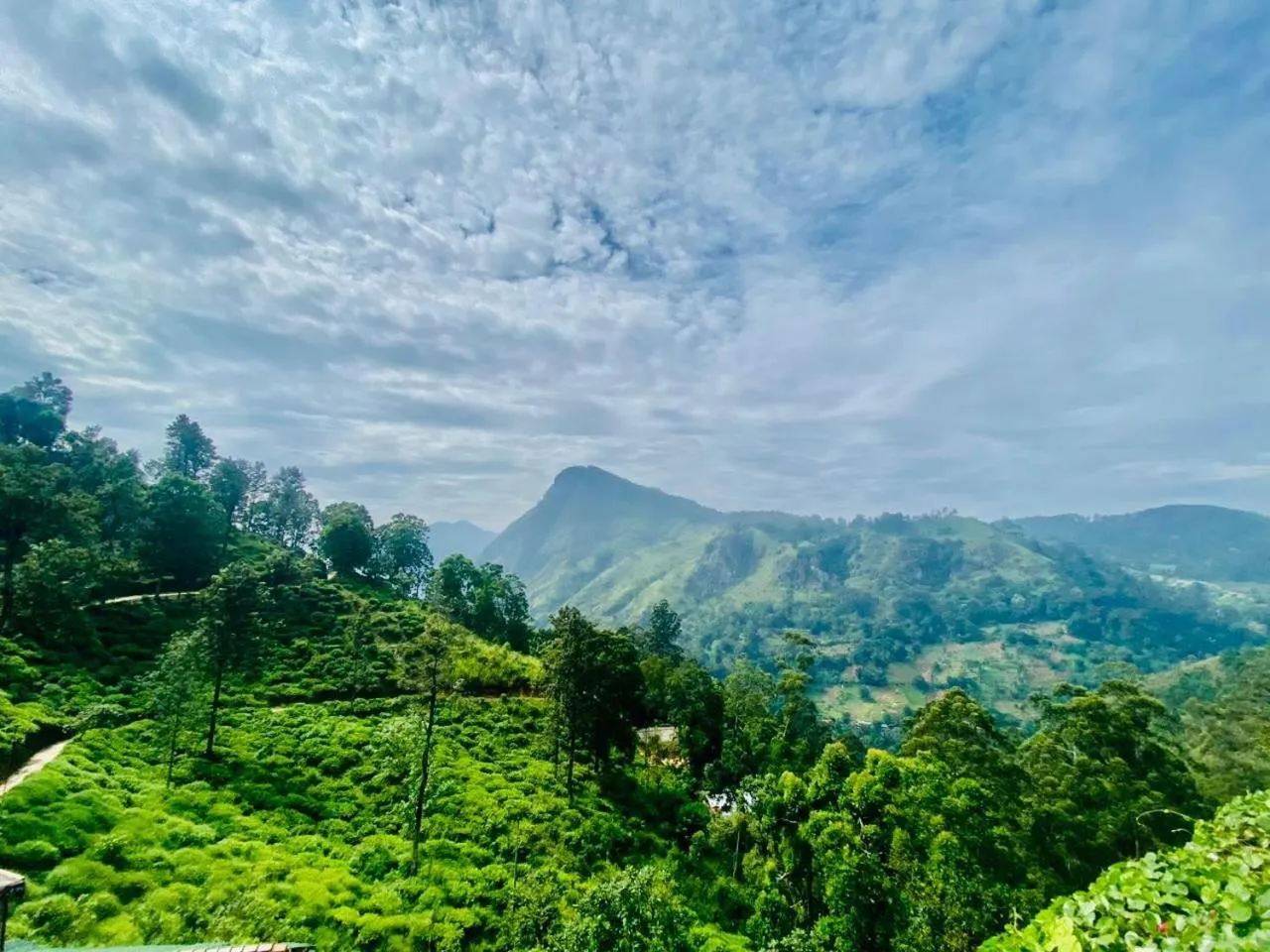Mountain view in Ella Flower Garden Resort