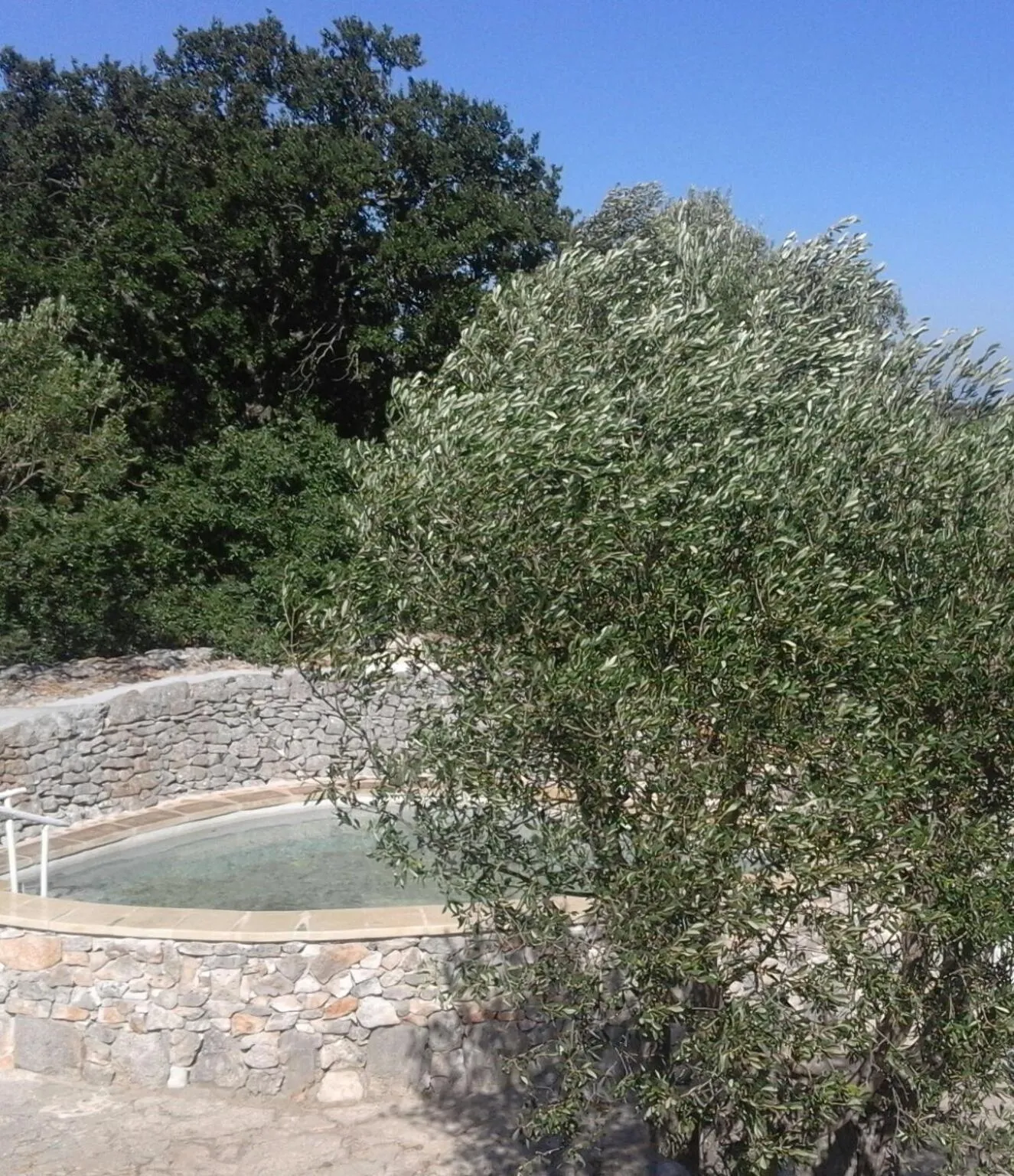Swimming pool in B&b Cinque Stalle