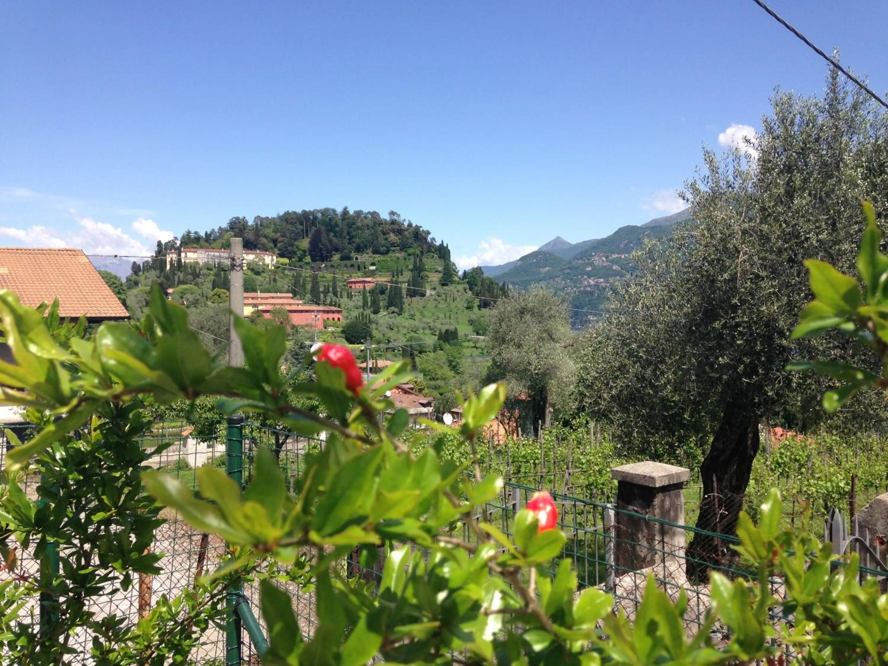 Charming Bellagio Boutique Hotel