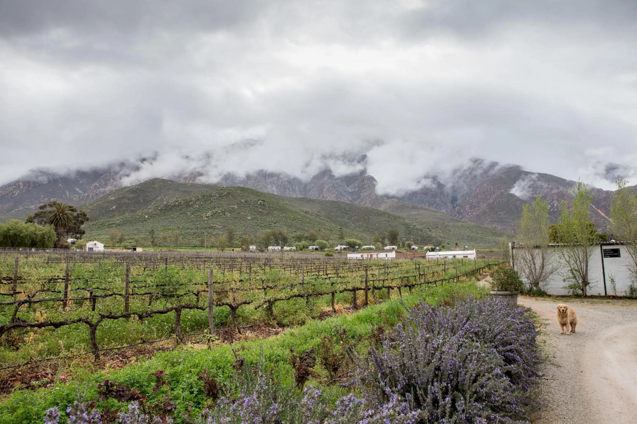 Facade/entrance in Leipzig Country House & Winery