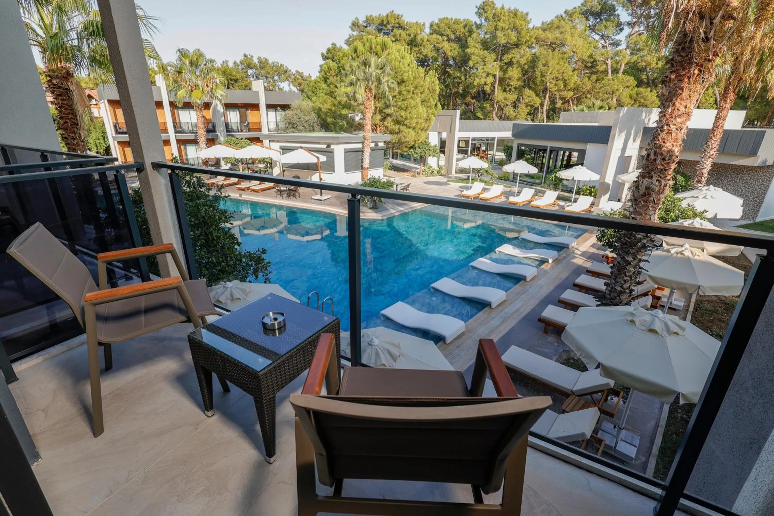 Day in Forest In Hotel