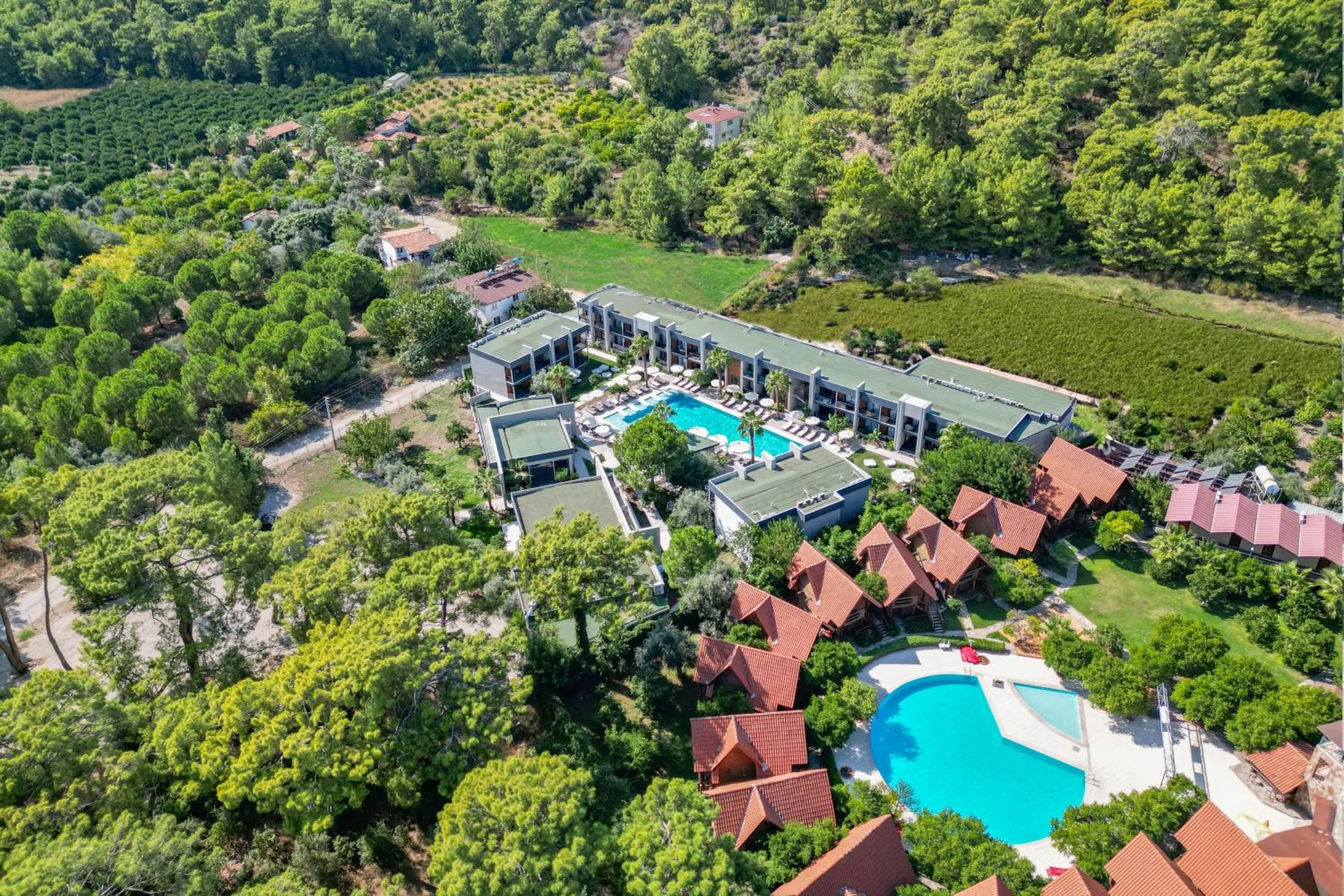 Property building in Forest In Hotel