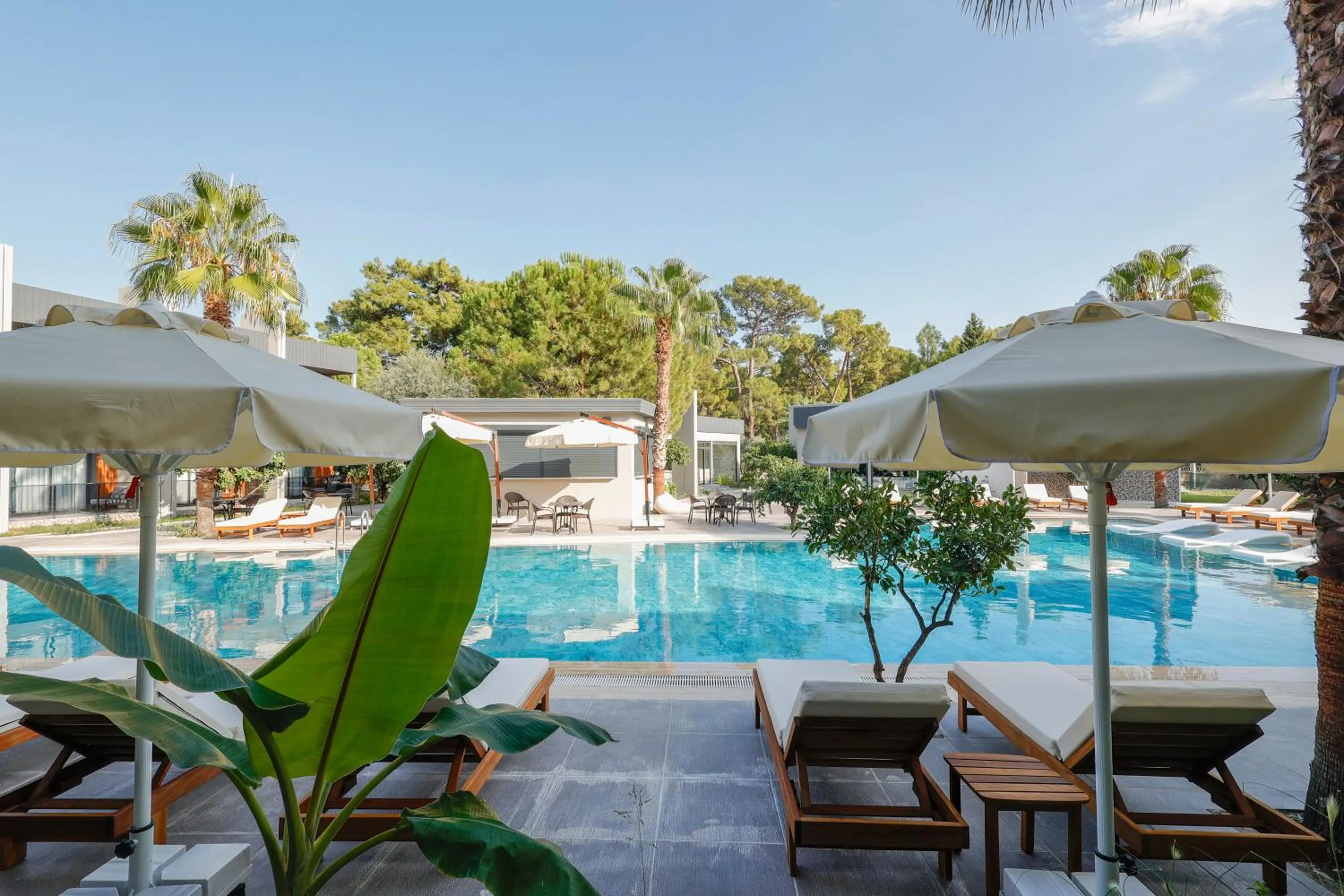 Day in Forest In Hotel