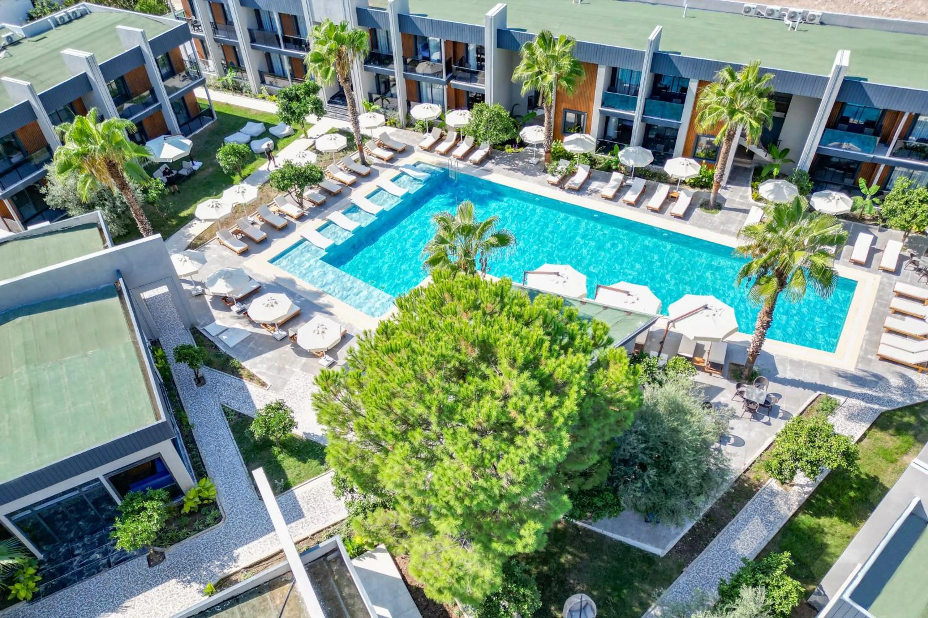 Property building in Forest In Hotel