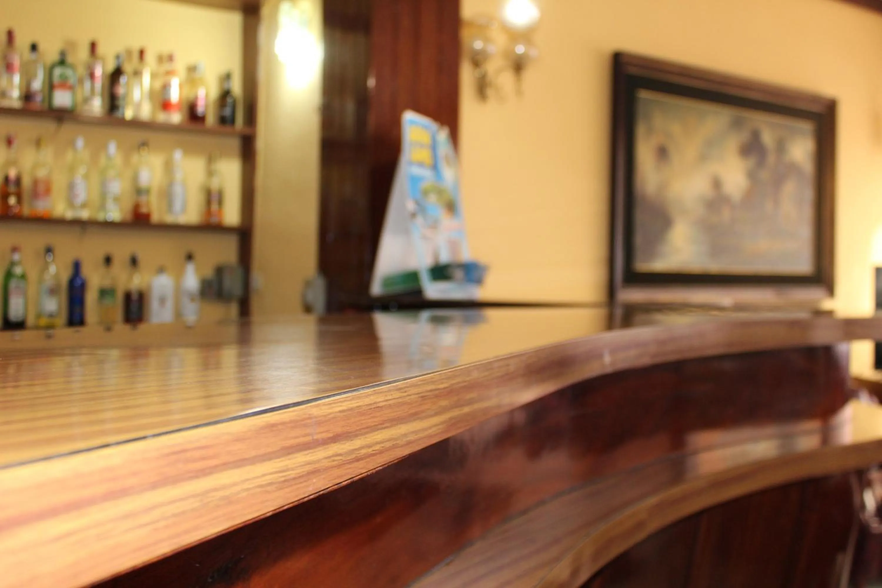 Lounge or bar in Hotel Olympia