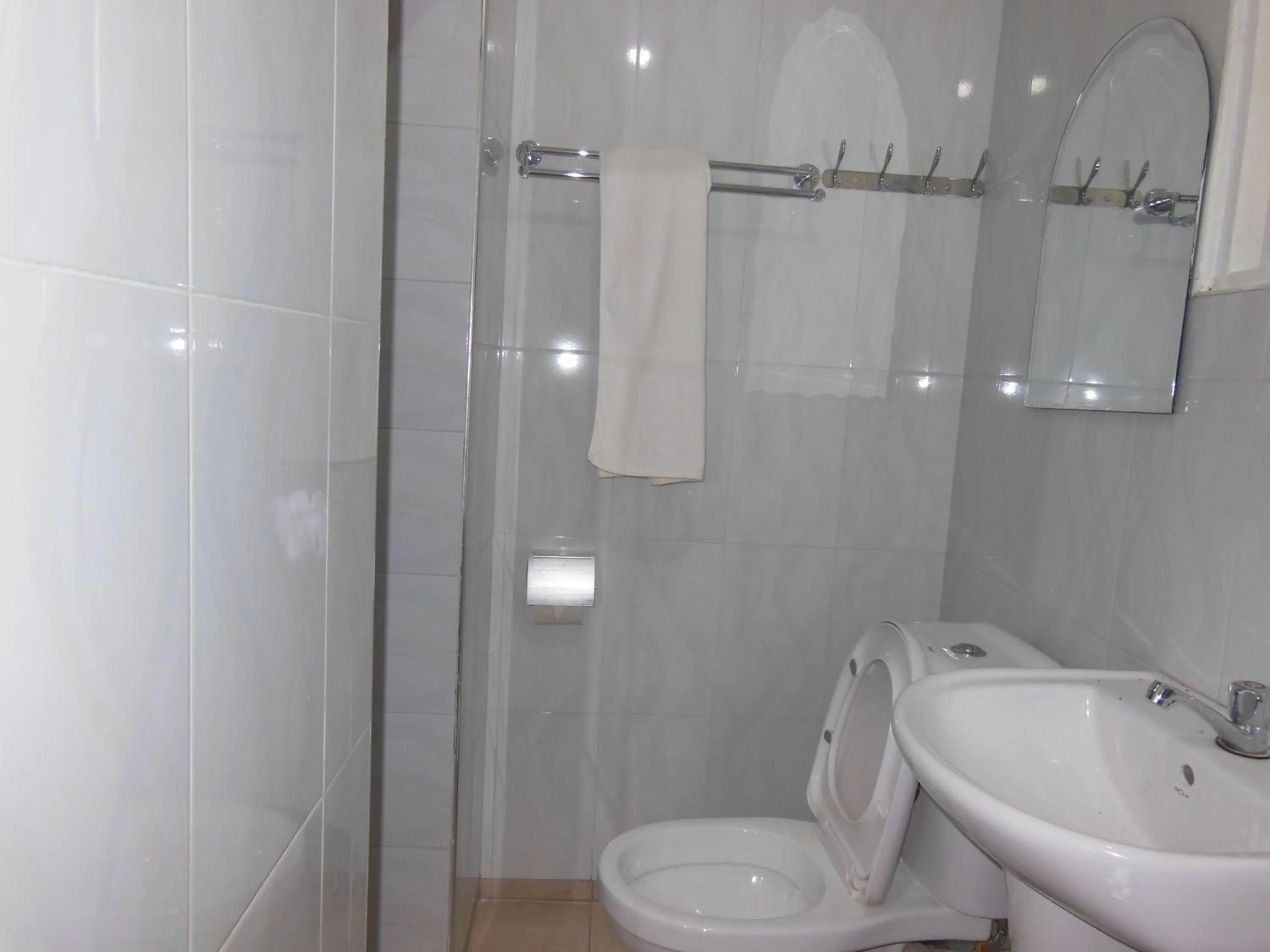 Toilet in Psalms Motel