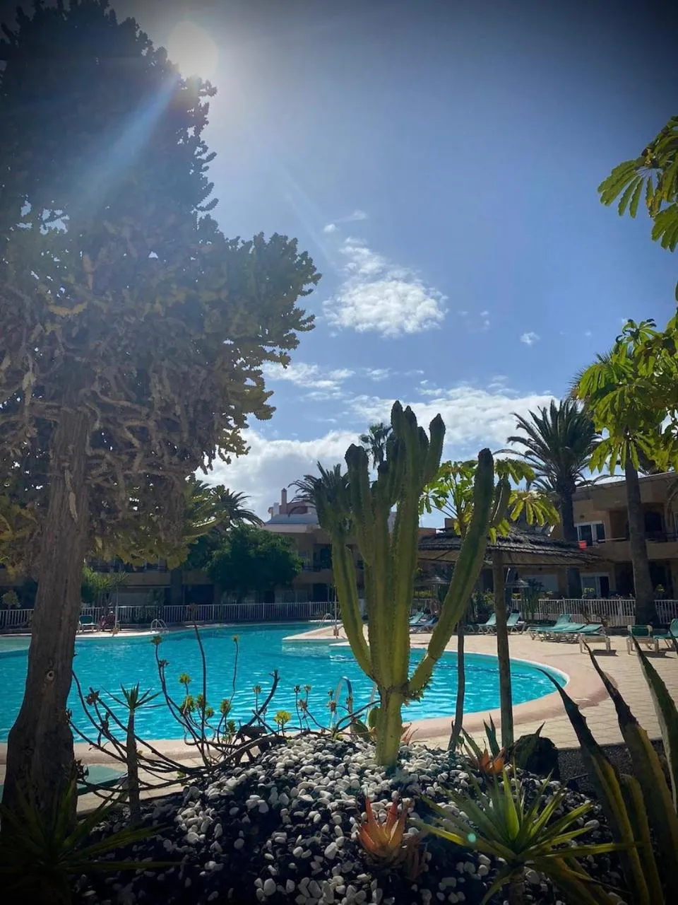 Pool view in Caracol