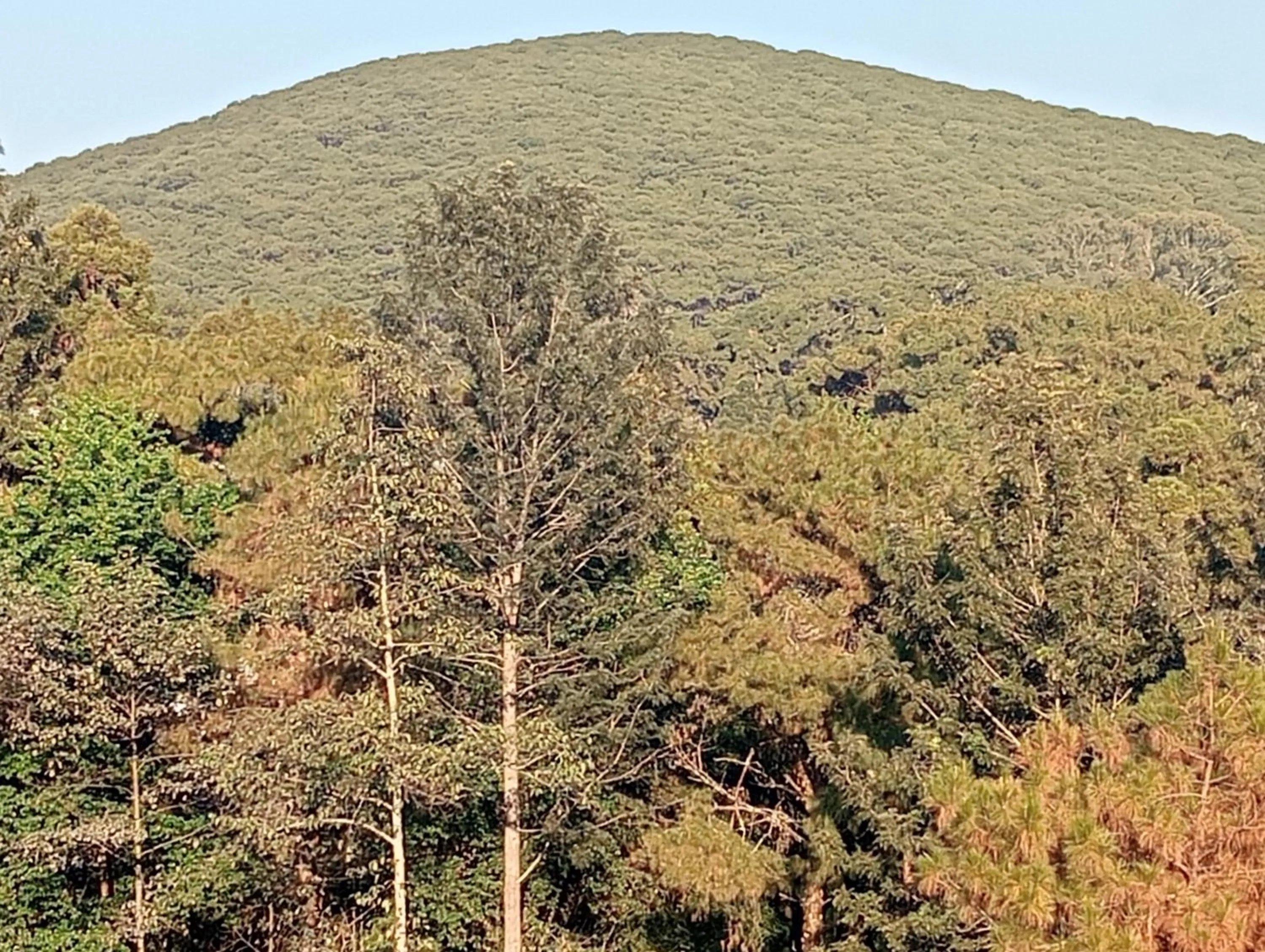 Natural landscape in Rolyda Guest House