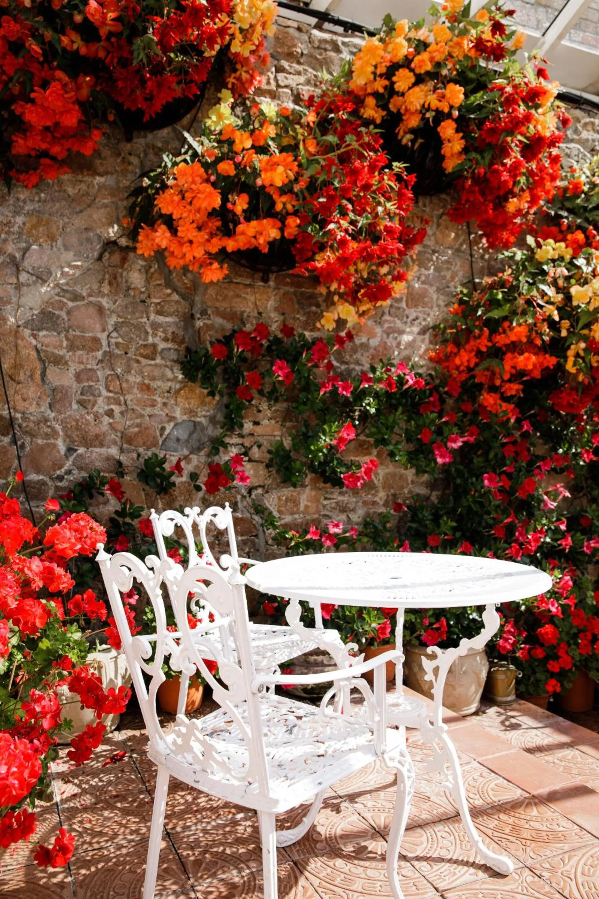 Other in The Panorama