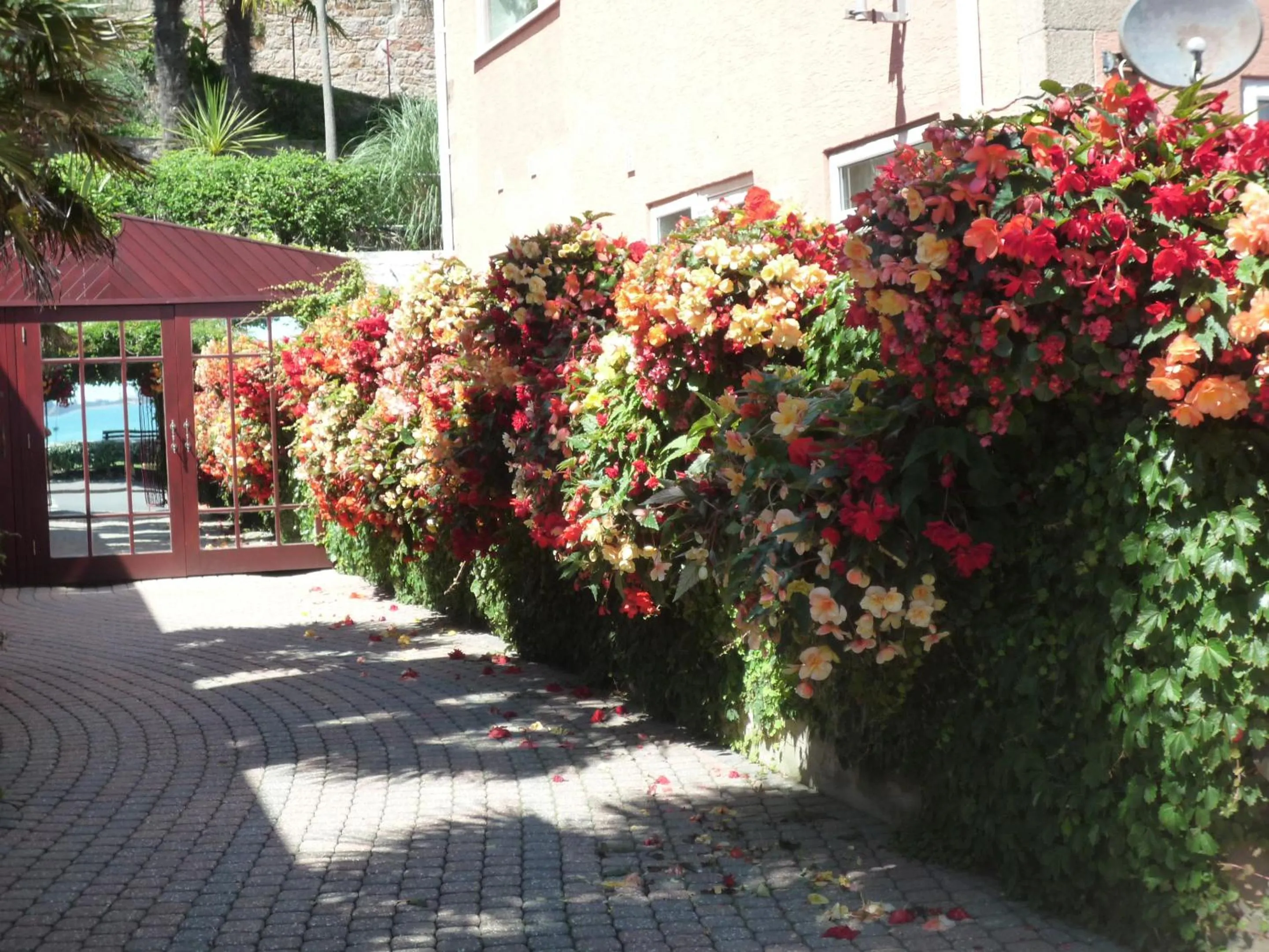 Other in The Panorama