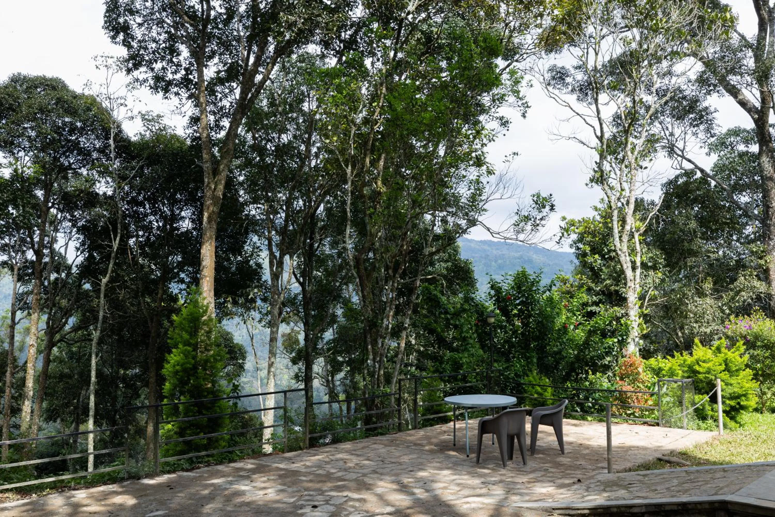 Day in Avadale Munnar (Stag Groups Not Allowed)