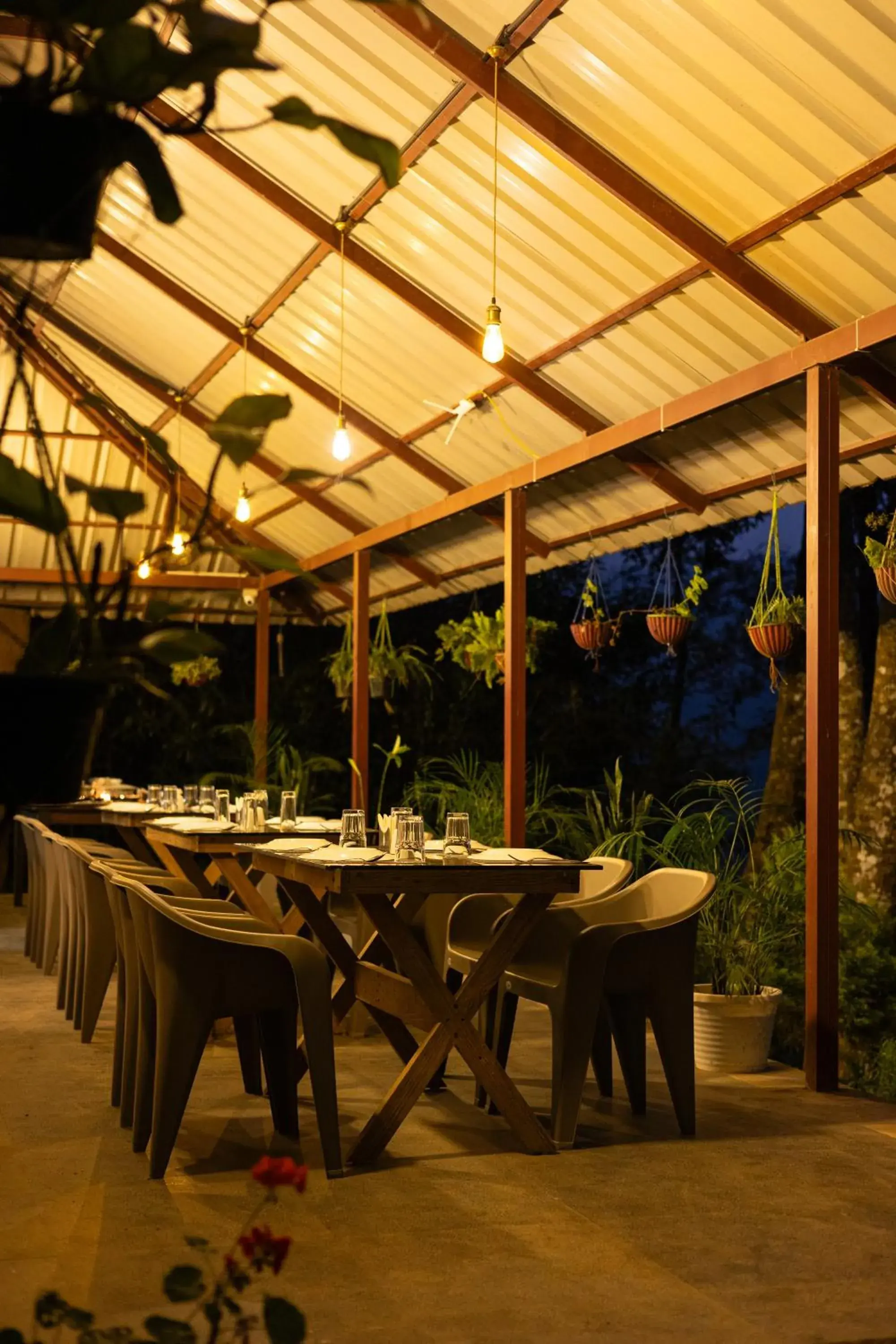 Restaurant/places to eat in Avadale Munnar (Stag Groups Not Allowed) Restaurant/places to eat in Avadale Munnar (Stag Groups Not Allowed)