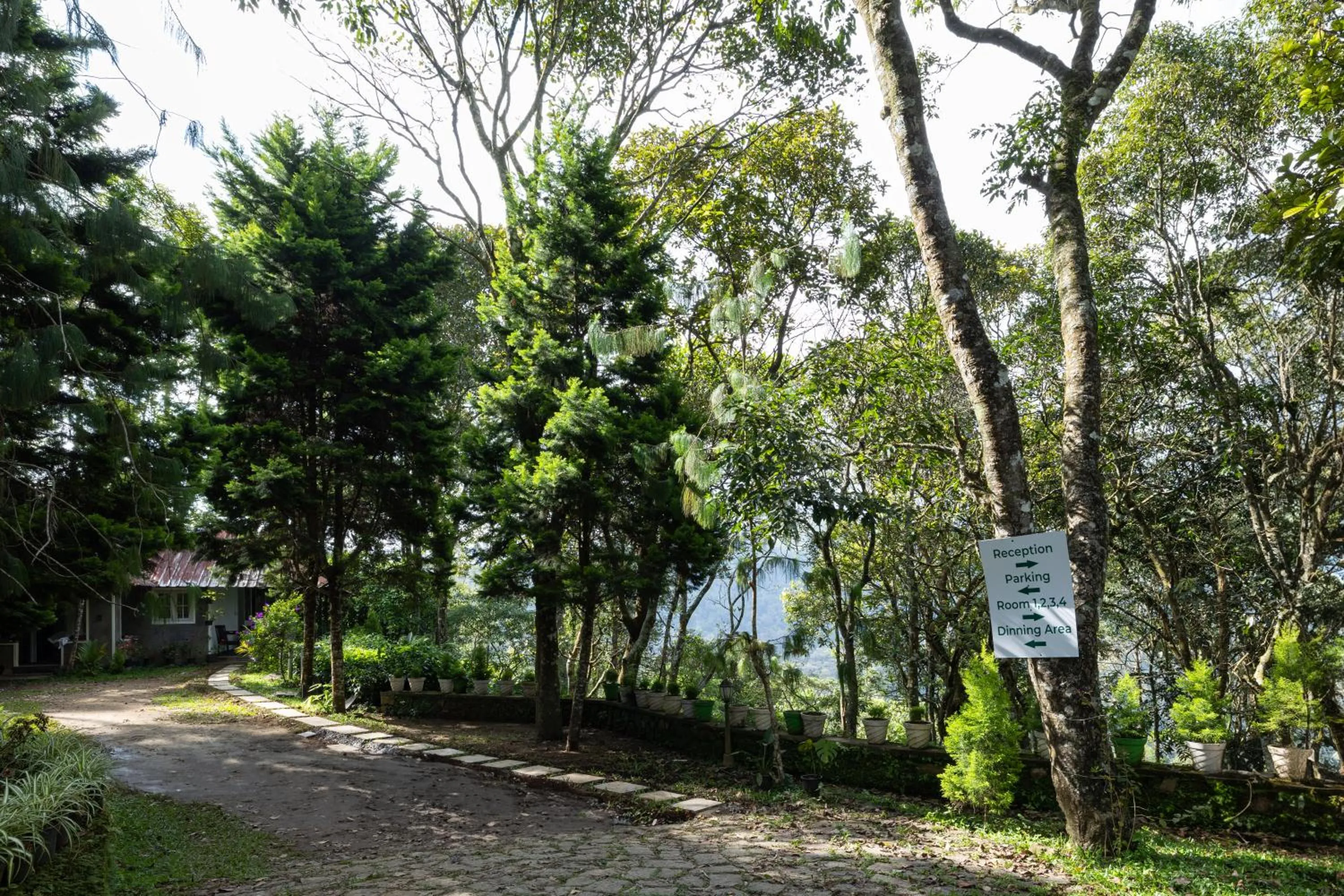 Natural landscape in Avadale Munnar (Stag Groups Not Allowed)