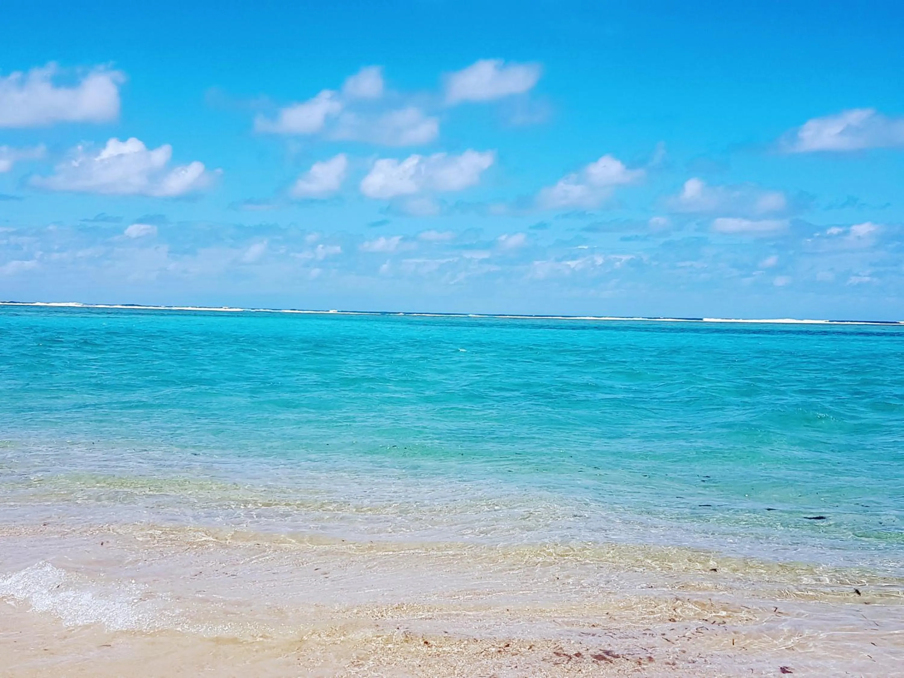 Natural landscape in Hotel Ecolodge Riake Resort & Villa