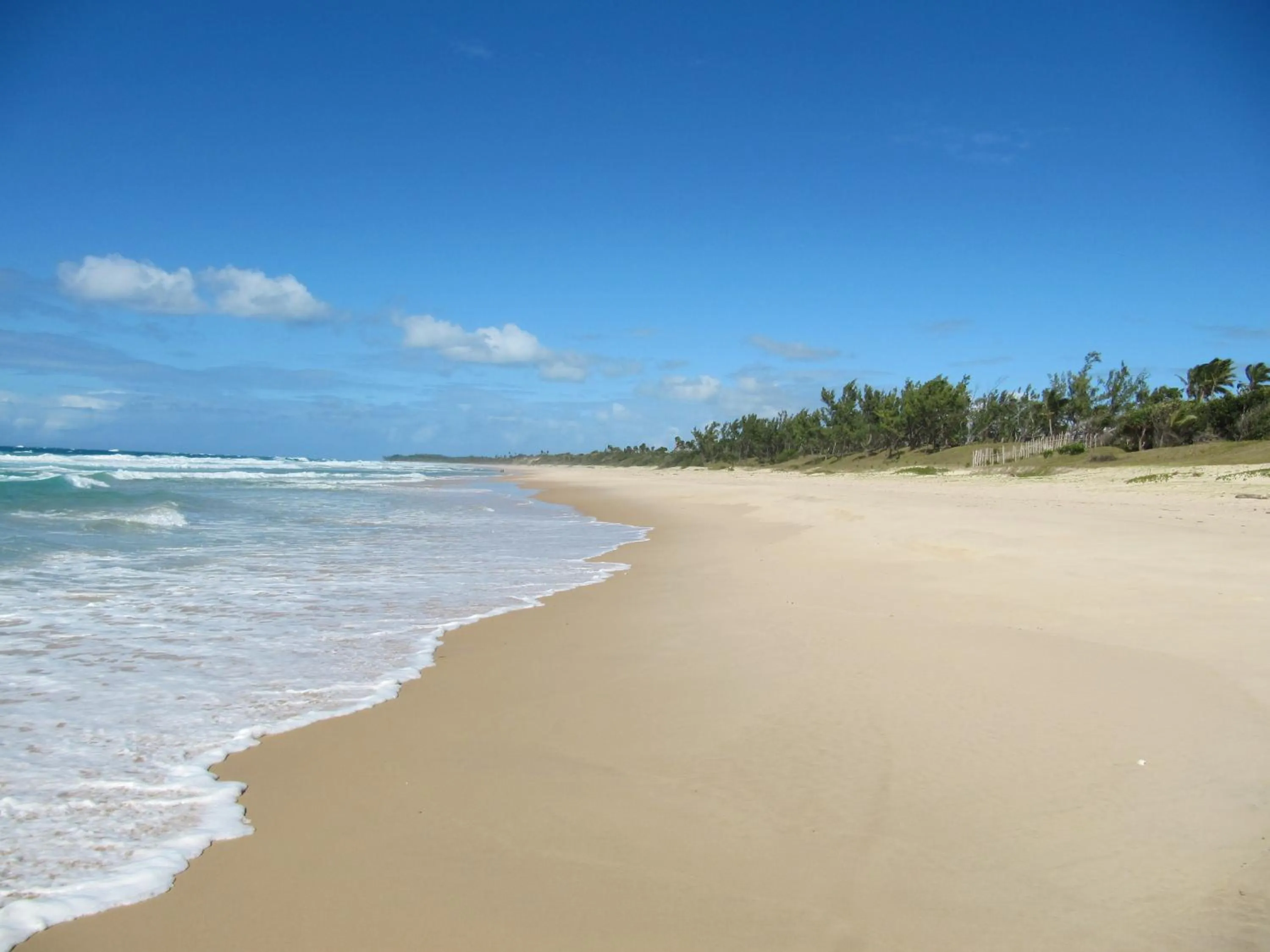 Sea view in Hotel Ecolodge Riake Resort & Villa