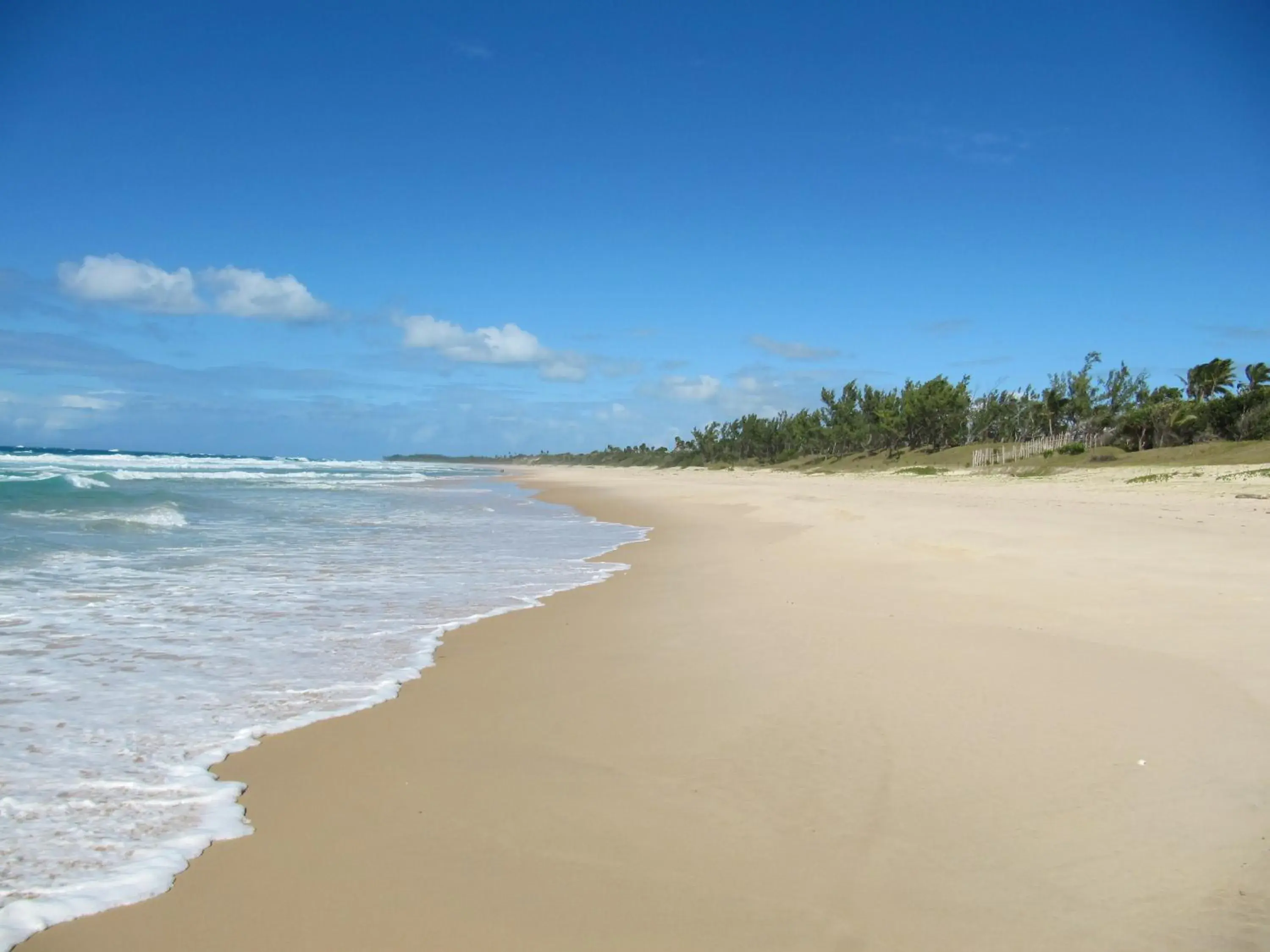 Sea view in Hotel Ecolodge Riake Resort & Villa Sea view in Hotel Ecolodge Riake Resort & Villa