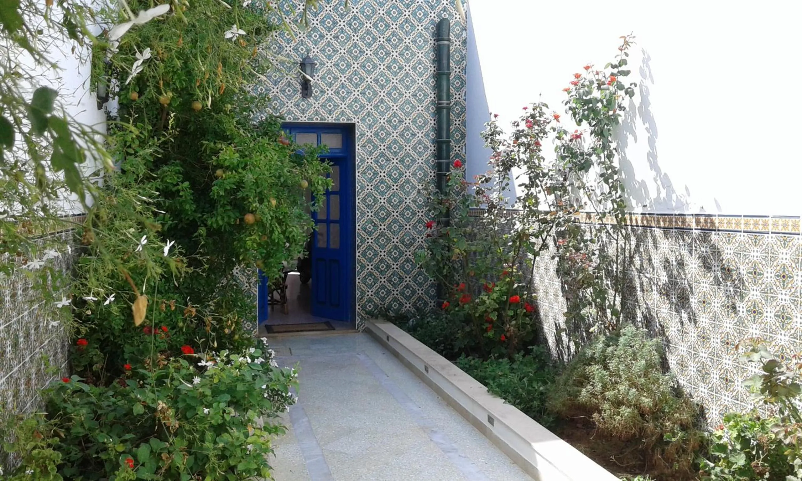 Garden in Dar El Goulli