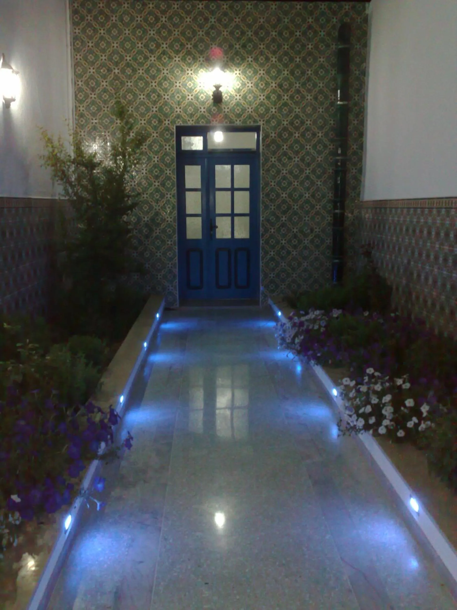 Garden in Dar El Goulli