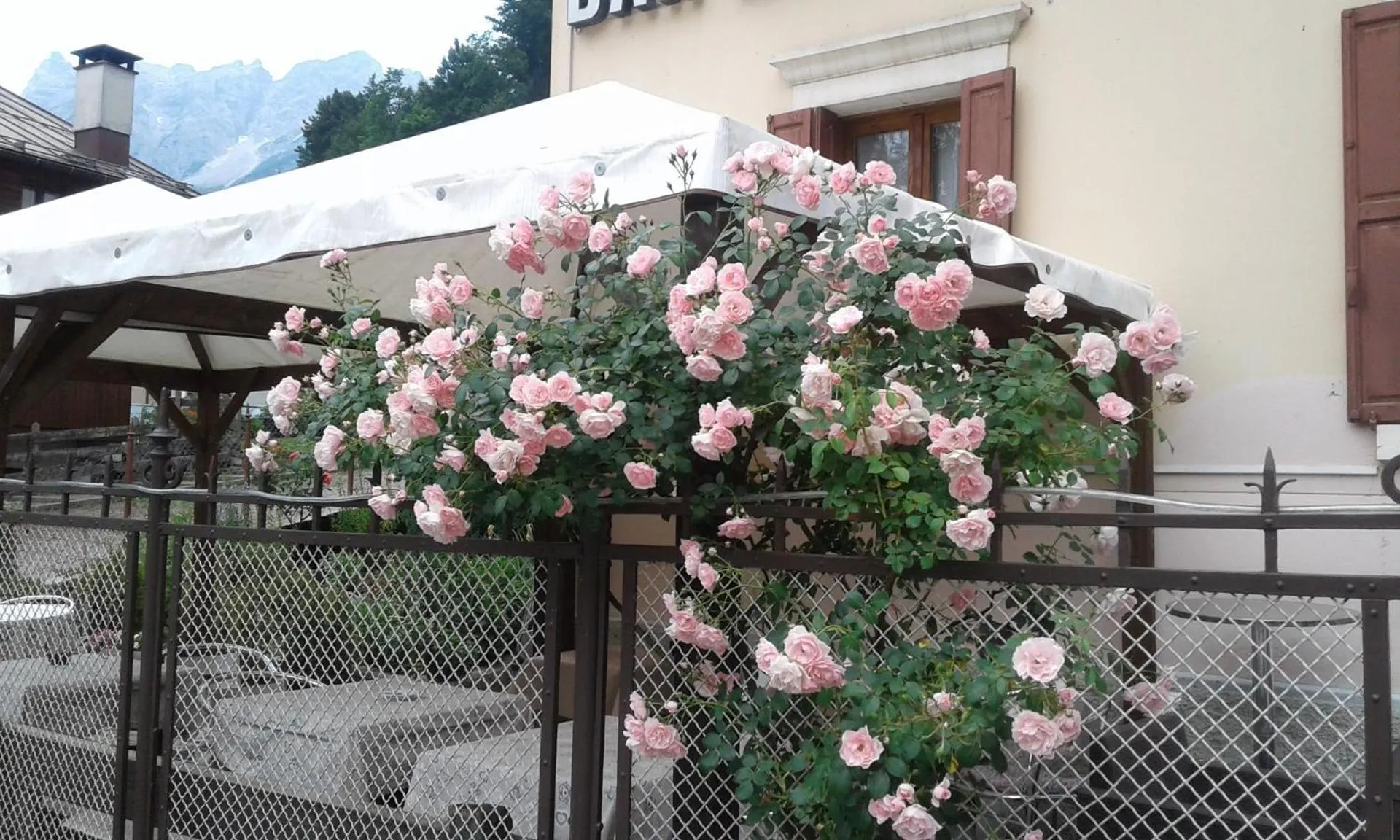 Patio in HOTEL BRUSTOLON