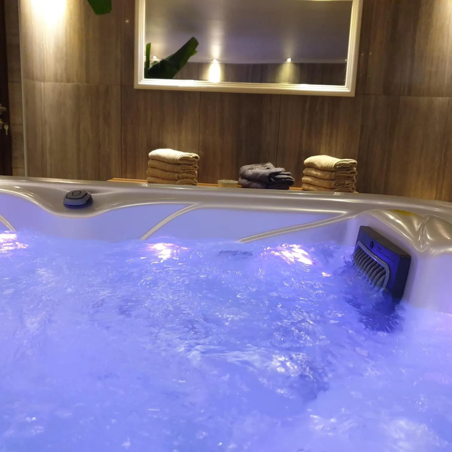 Hot Tub in Villa Biser Dunava