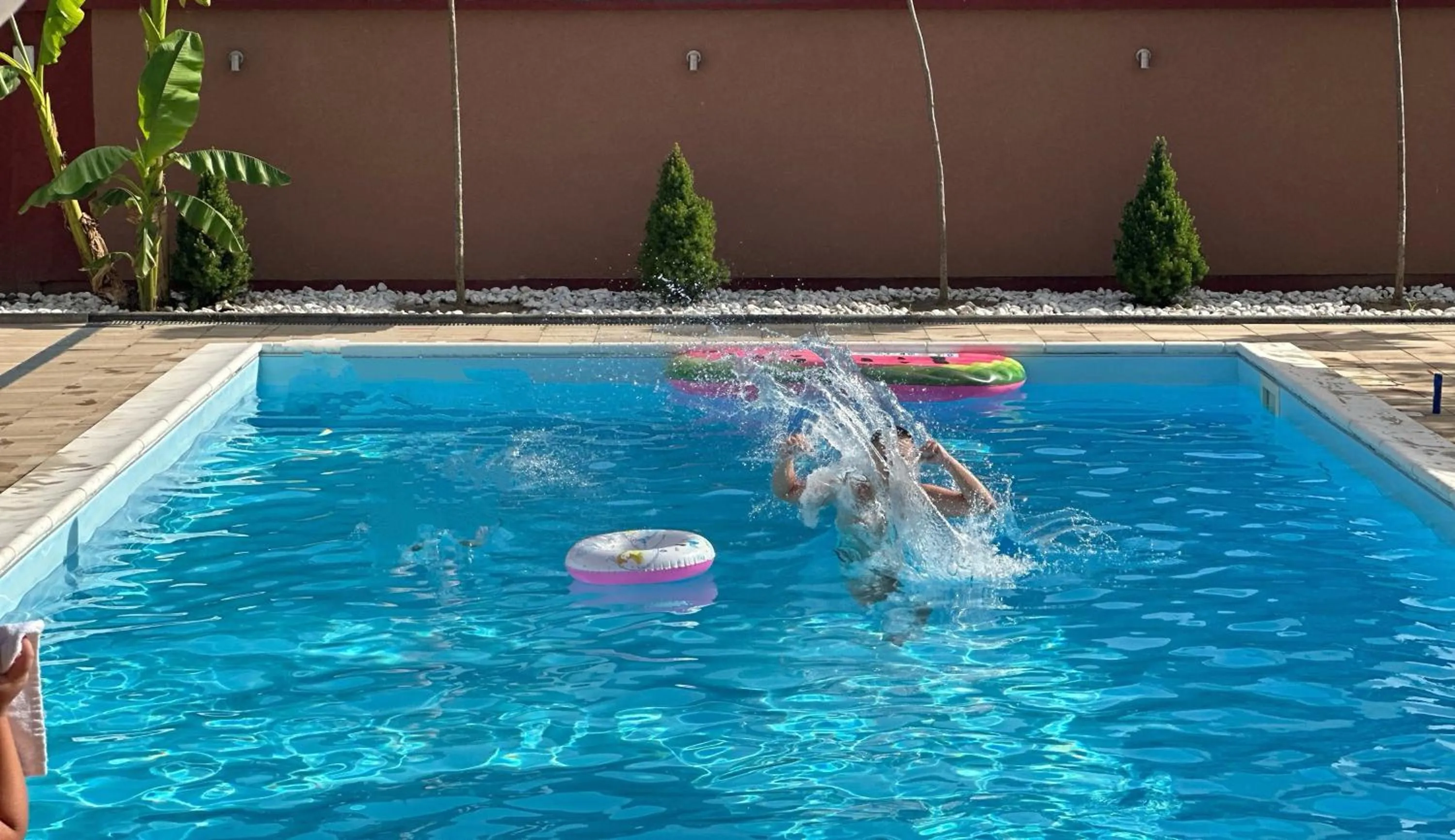 Swimming pool in Villa Biser Dunava