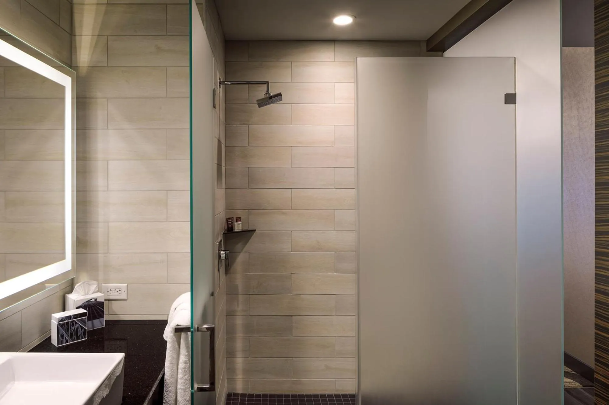 Shower in Metropolitan at The 9, Autograph Collection