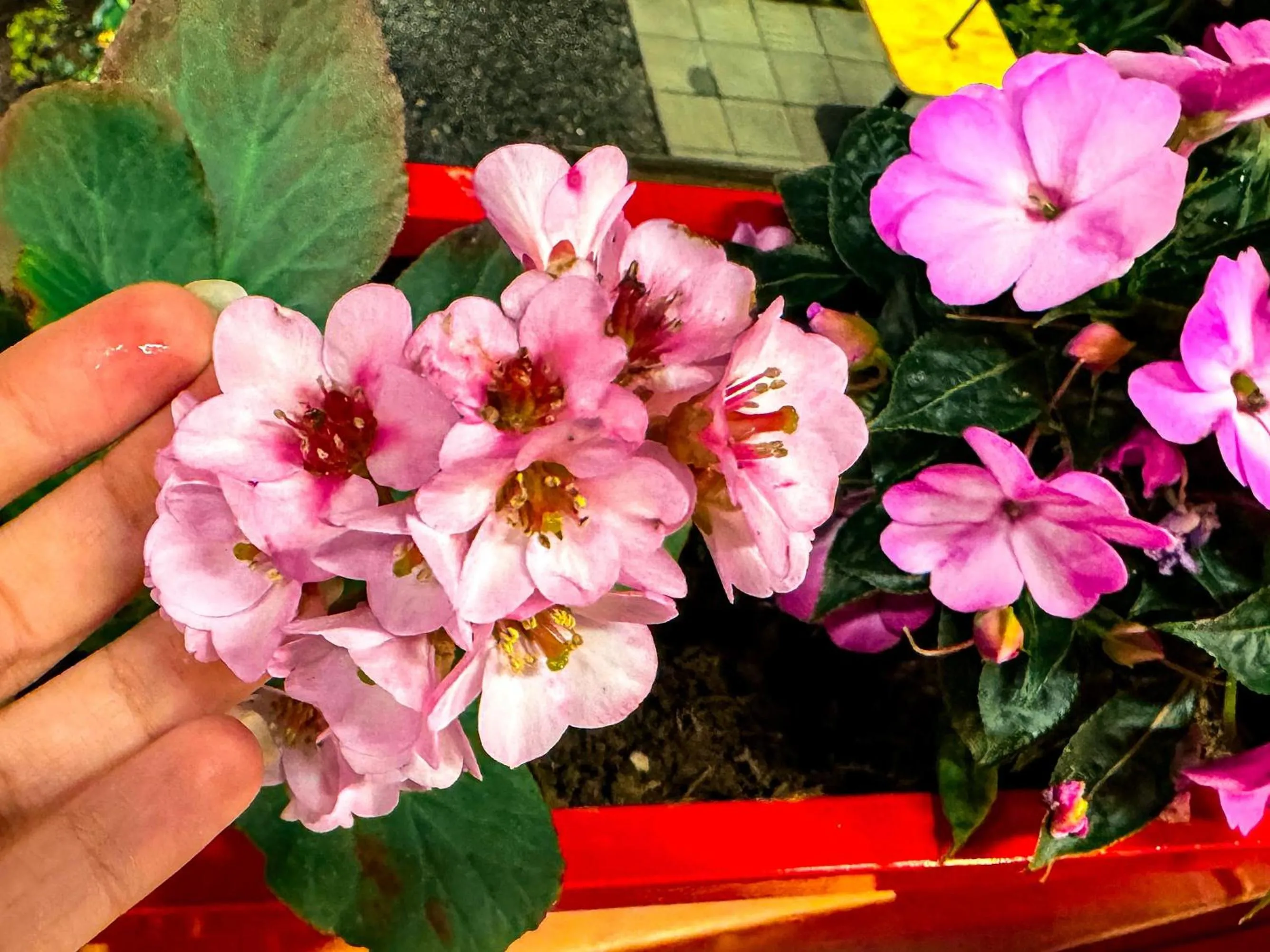 Day in Tierra Maravilla