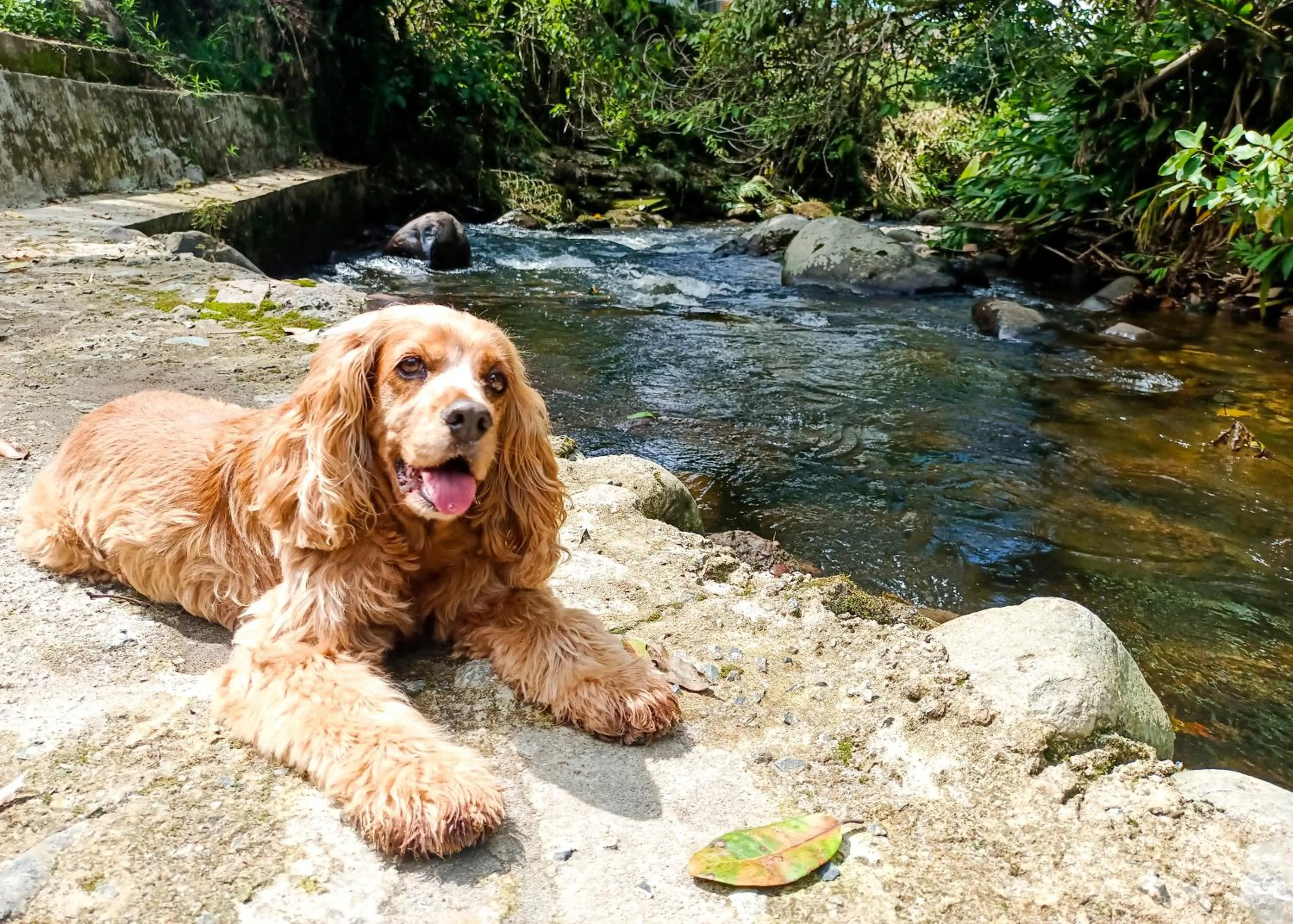Natural landscape in Tierra Maravilla